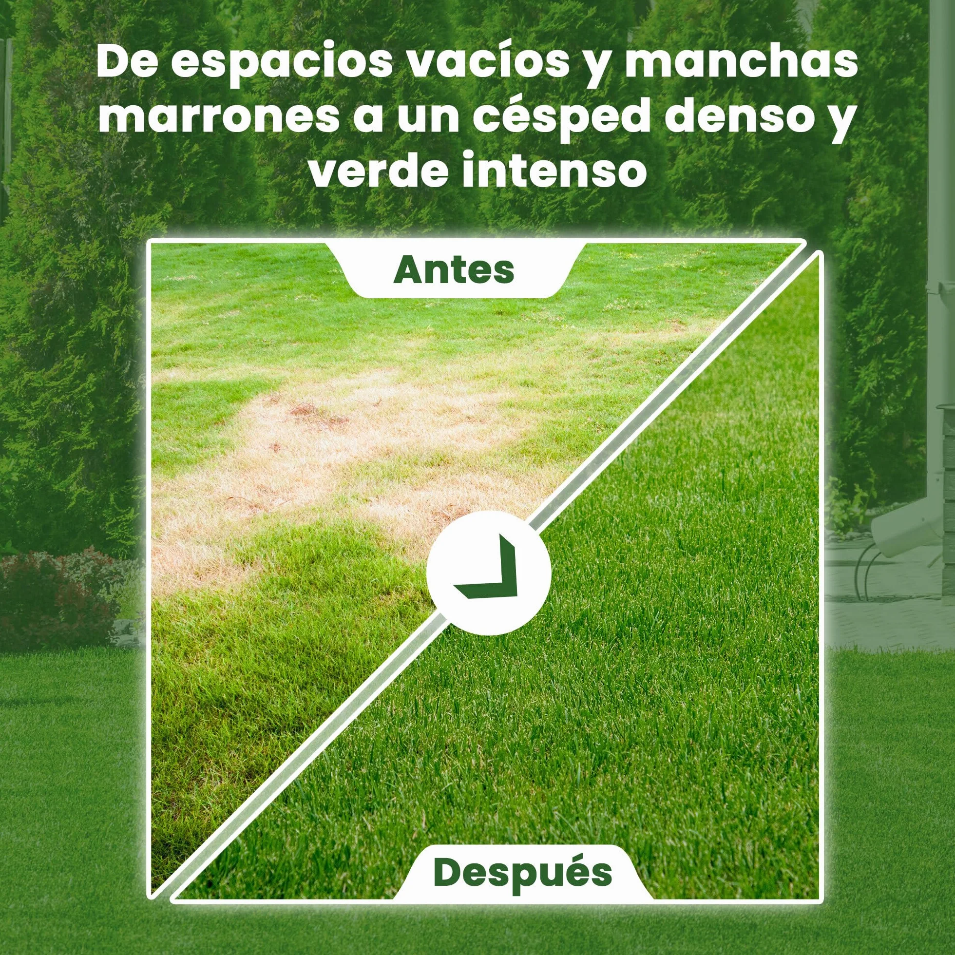 LERAVA EXPRESS semillas césped 30m² crecimiento rápido resistente calor 0,75kg