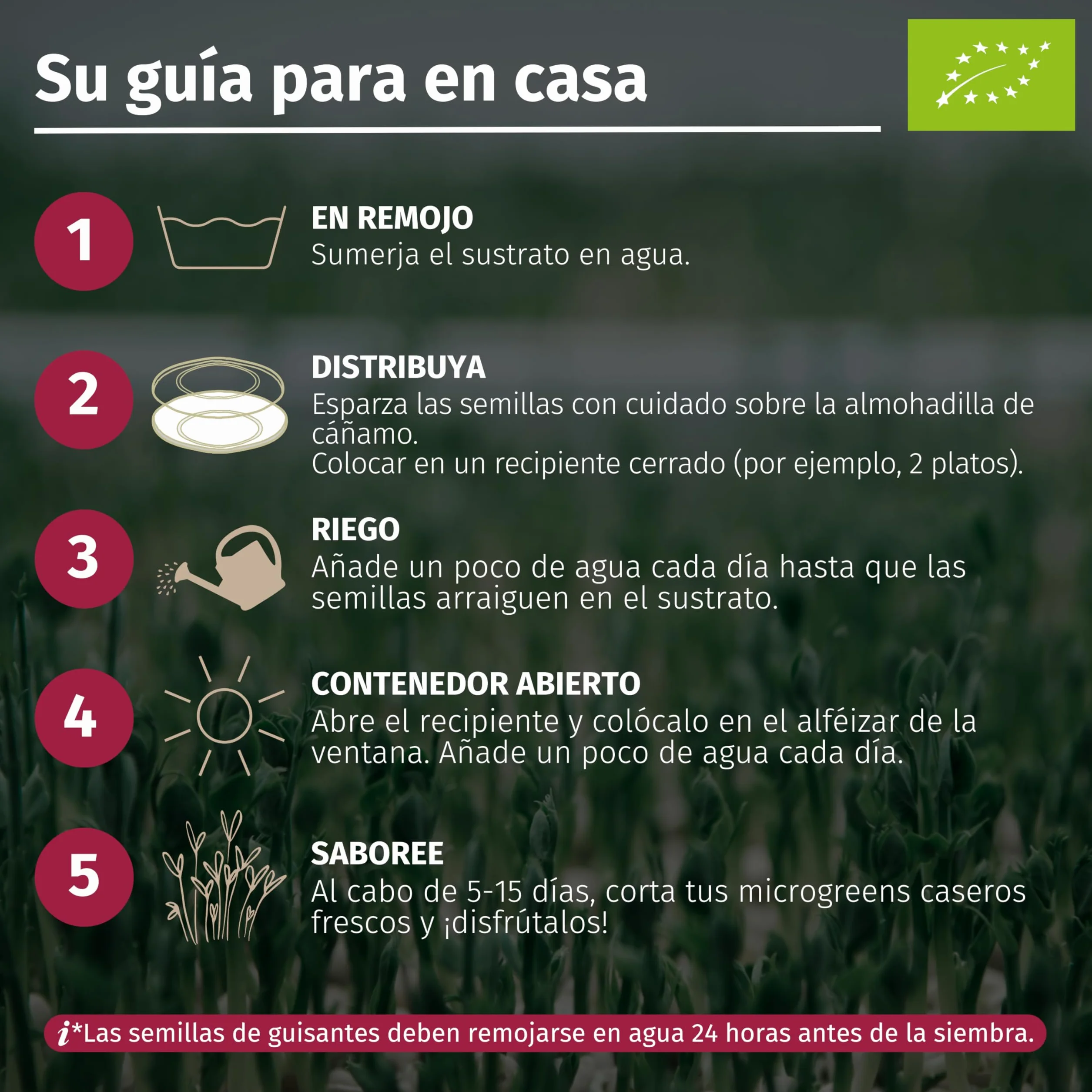 LERAVA Profarms Kit Microgreens BIO Cultiva en Casa Brotes Tiernos Rábanos Ajo Brócoli Rúcula Rábano Picante Guisantes Semillas Germinar 6 Pads Cáñamo