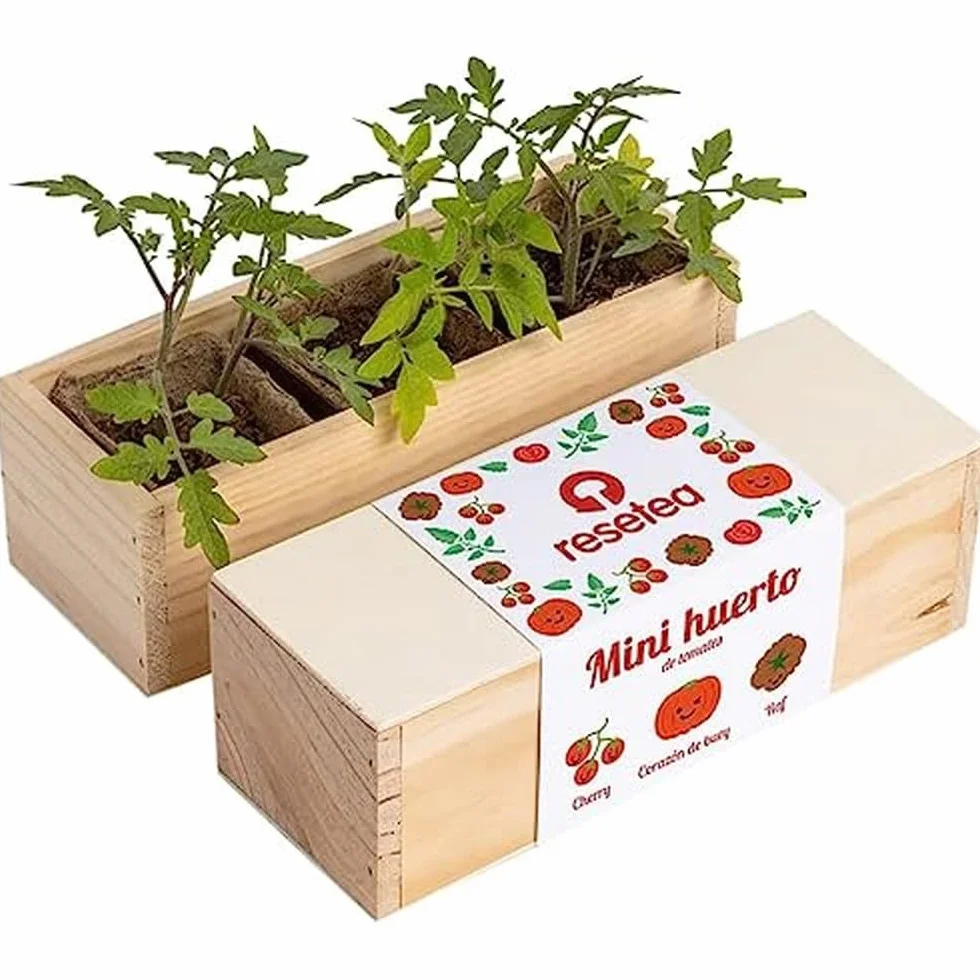 Mini Huerto de Tomates Cherry, Corazón de Buey y Raf - Huerto Urbano