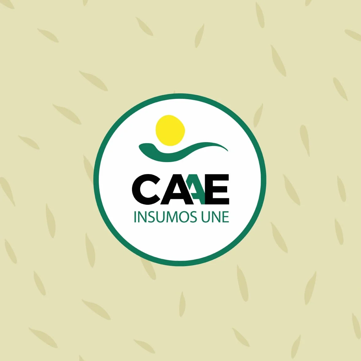 CULTIVERS Fertilizante Césped Ecológico 5L Abono Líquido Micronutrientes Aminoácidos Orgánico Natural