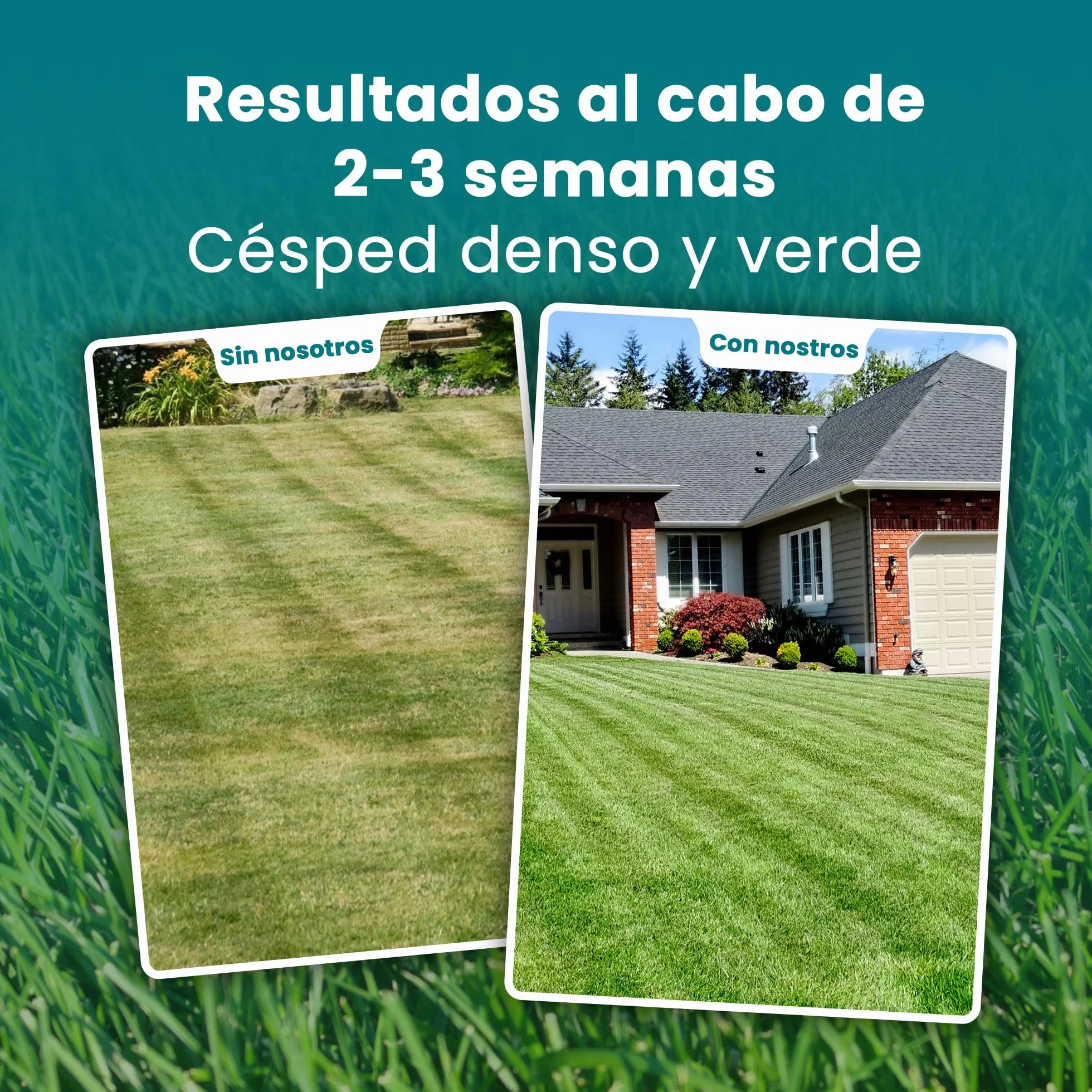 LERAVA Fertilizante césped liberación lenta 85 m² Abono granulado con magnesio y microelementos