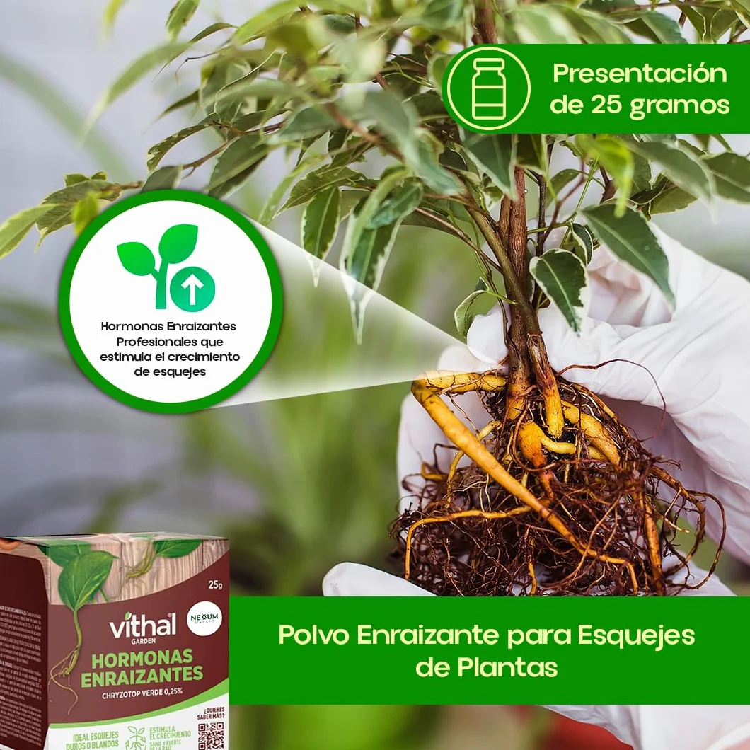 Polvo Enraizante para Esquejes 25 g Hormonas Enraizantes Profesionales Estimulador Crecimiento Radicular Herbáceos Leñosos