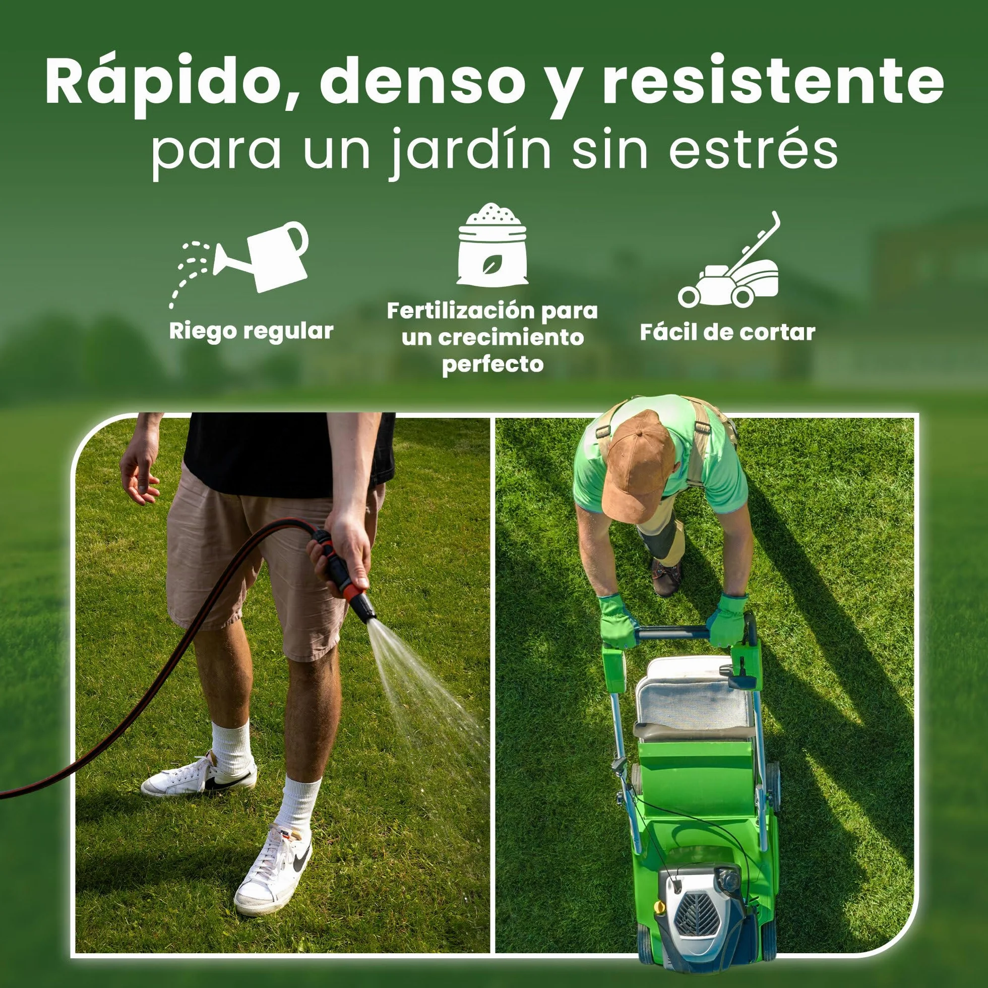 LERAVA EXPRESS semillas césped 30m² crecimiento rápido resistente calor 0,75kg