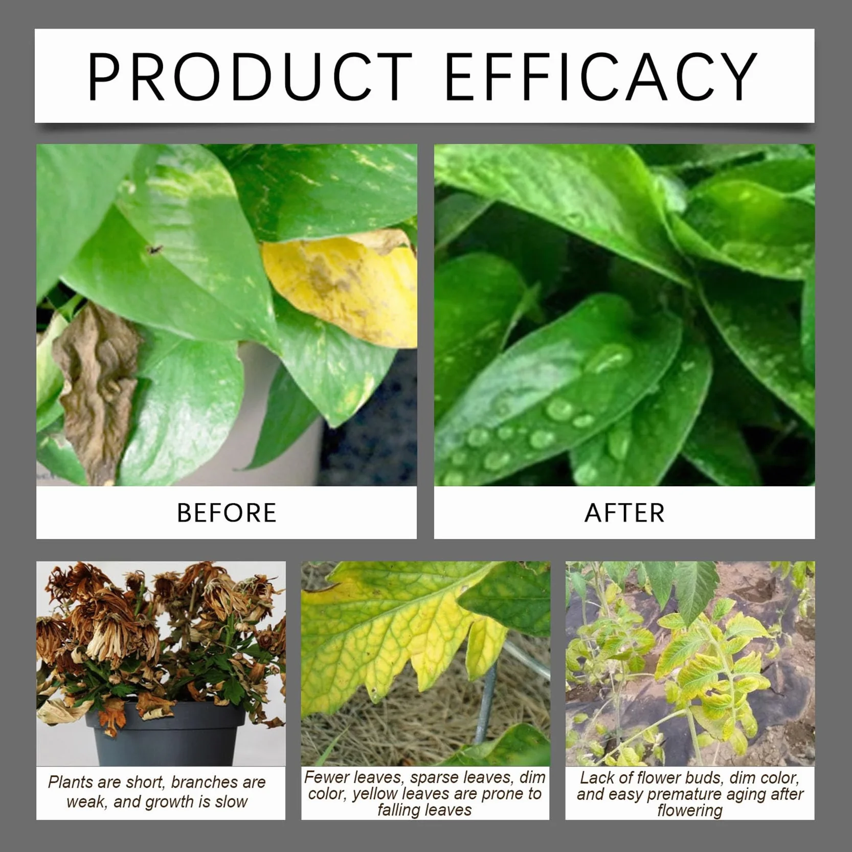 Soil Pro Activator Water Soluble Formula for Vegetables Flowers Houseplants Plant Care 1pcs
