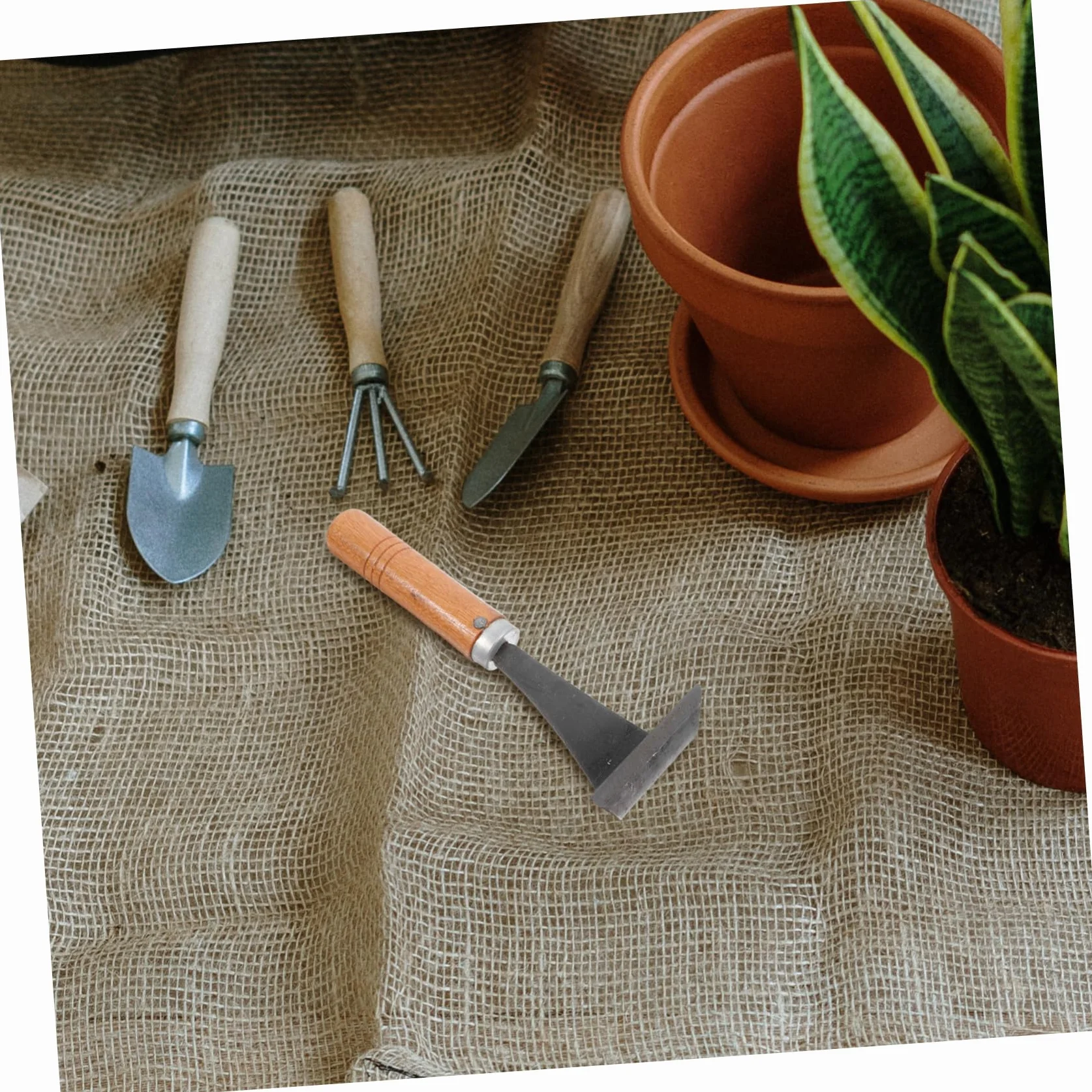 Herramienta y Hoja de Acero para Descortezar Árboles de Jardín Mango Ergonómico de Madera Práctica para Plantar Verduras y Deshierbar