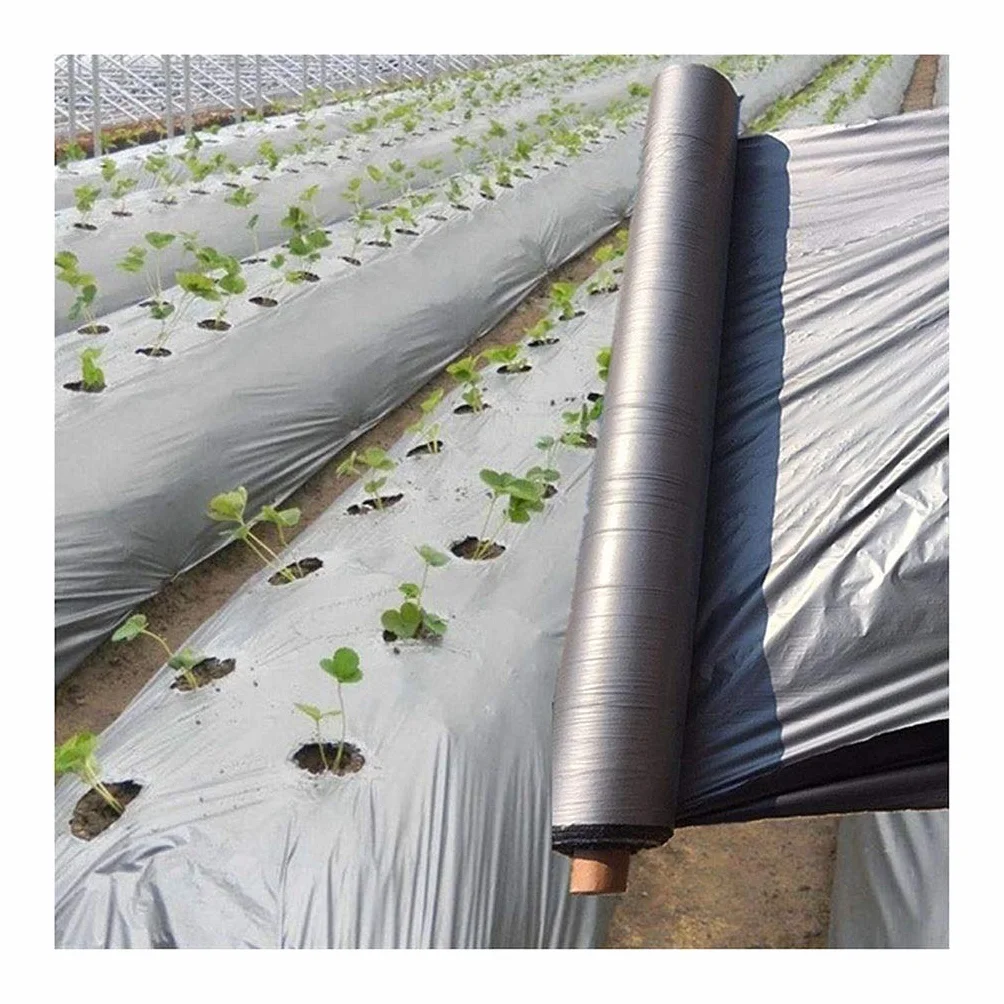 Película de plástico Plateada y Negra for huerto, árbol frutal, Invernadero, Control de malezas, Reflectante, 50 m, 0,012 mm(Width 1500mm)