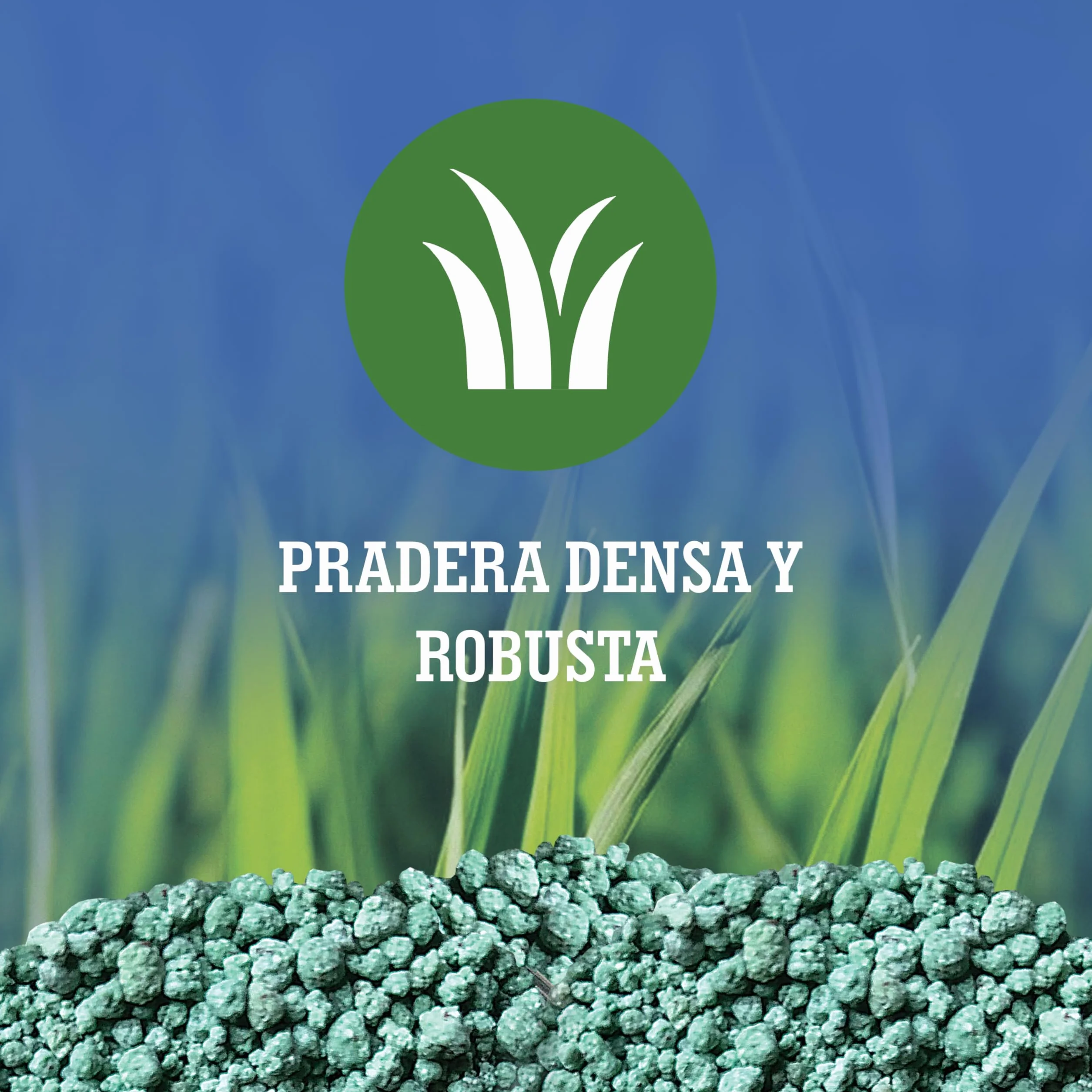 LERAVA abono césped primavera 70 m² fertilizante liberación lenta protección fúngica 1,7 kg