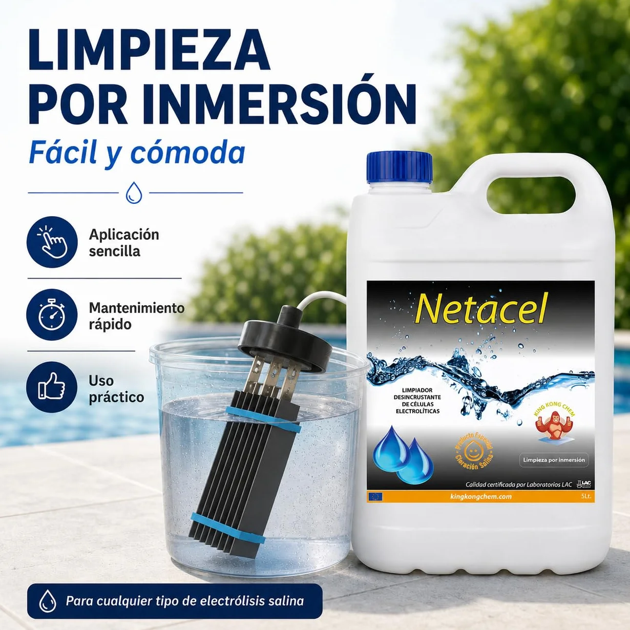 NETACEL 5 litros Limpiador desincrustante para célula clorador salino