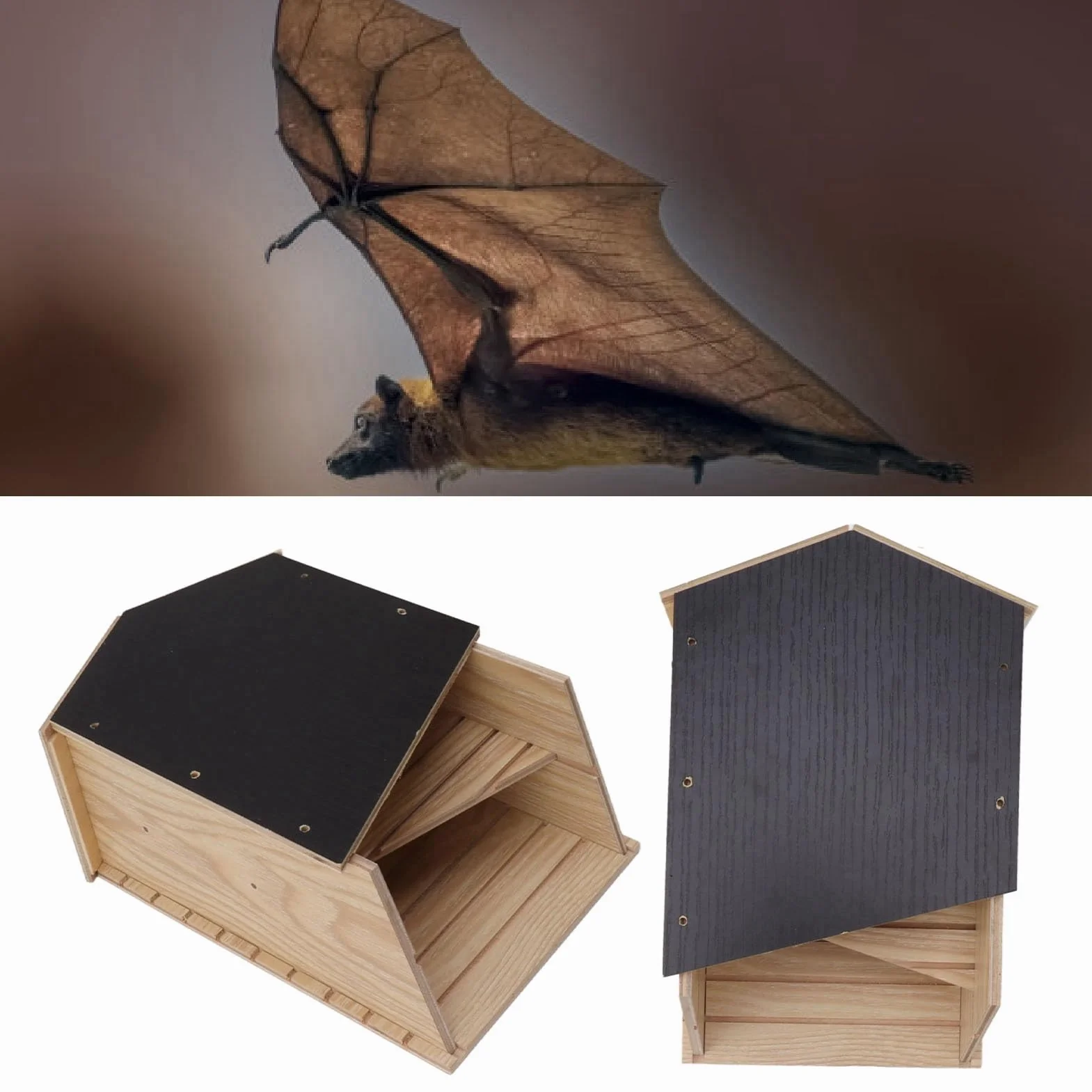 Caja de Murciélagos, Impermeable, a Prueba de Viento, para Exteriores, Casa de Murciélagos, Cámara Doble de Madera, Respetuosa con el Medio Ambiente para Patio Jardinería