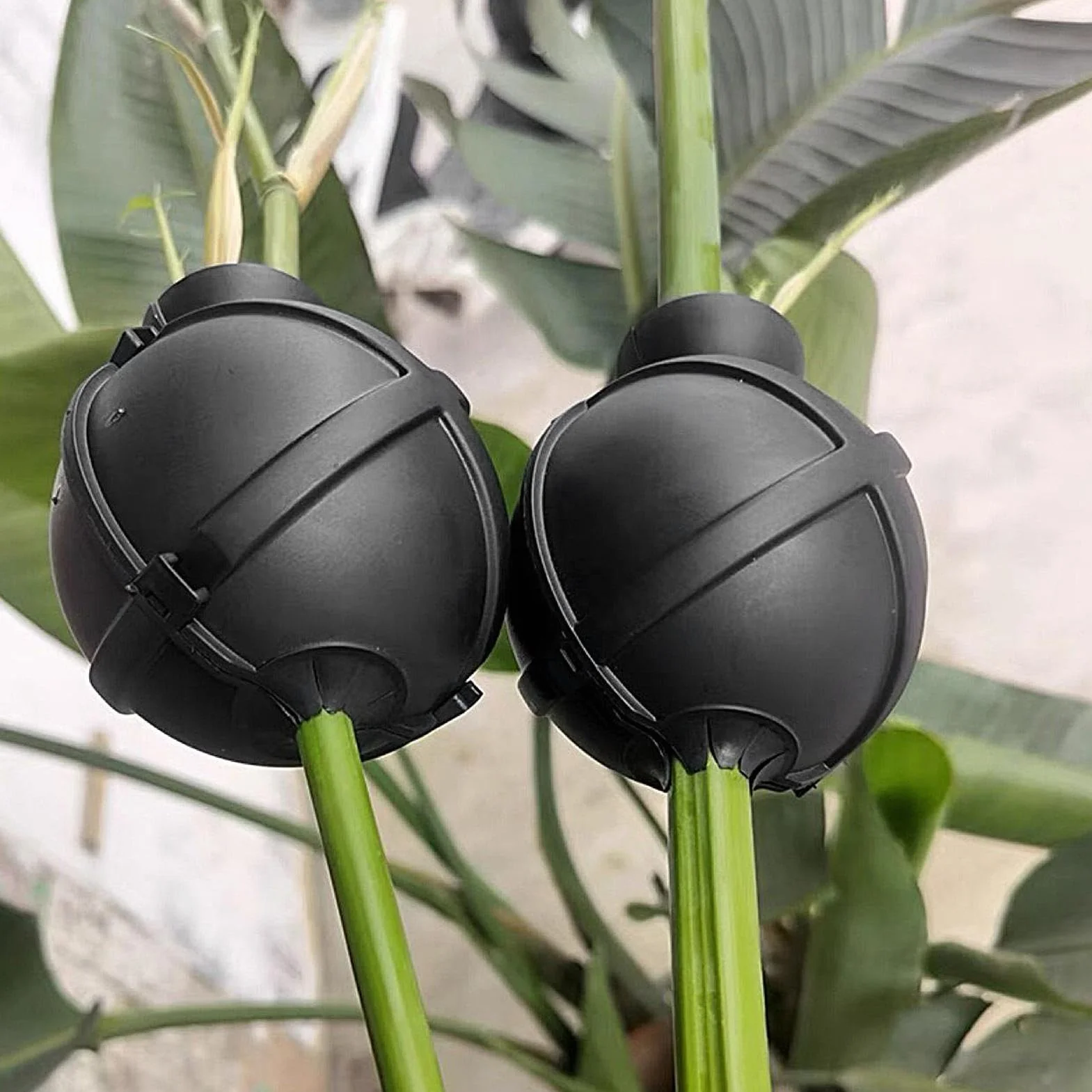 Kit De Propagación por Acodo Aéreo Reutilizable de 10 Piezas Accesorios De Jardinería