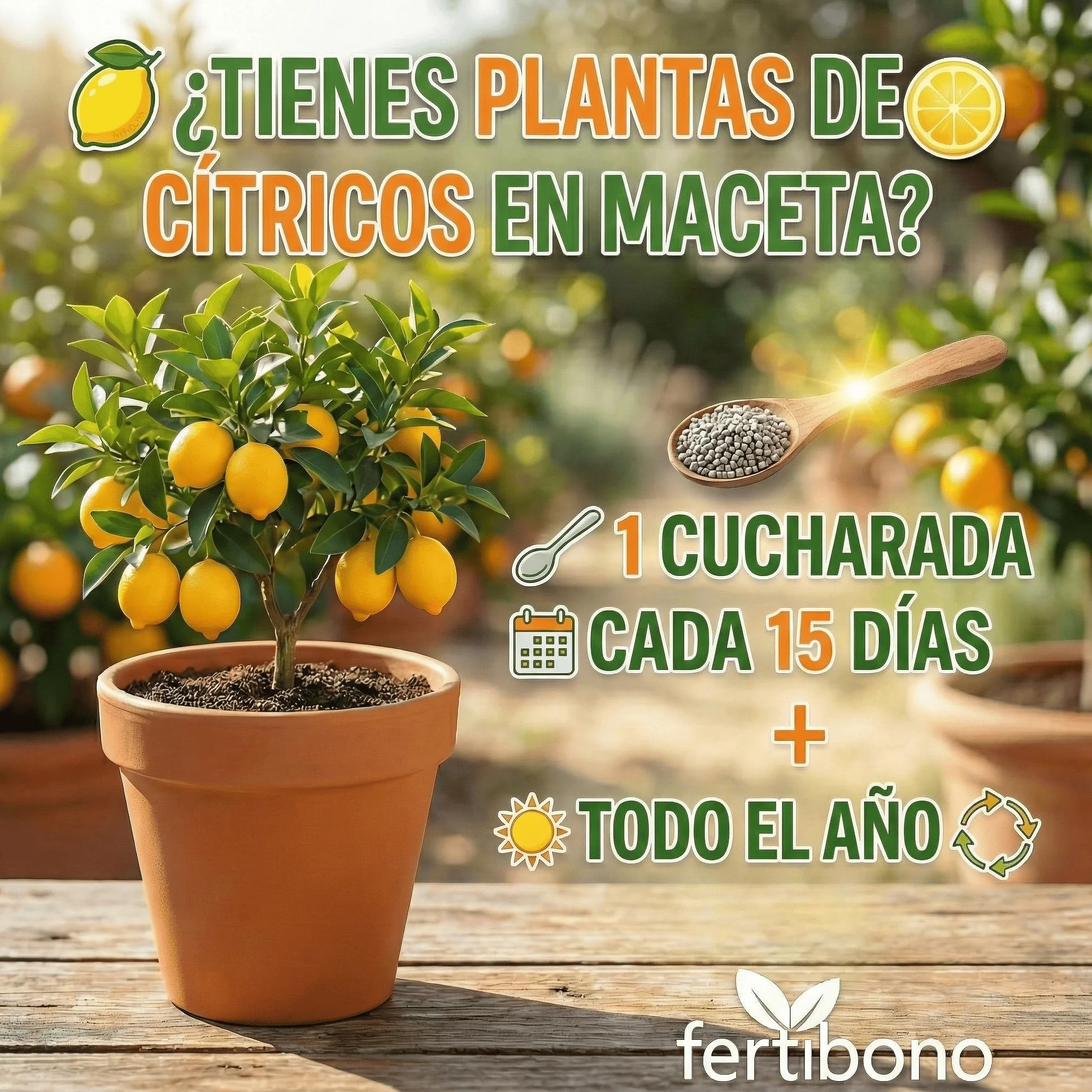 FERTIBONO Abono Cítricos 2KG 20-5-11 con Hierro Calcio Azufre Magnesio Manganeso