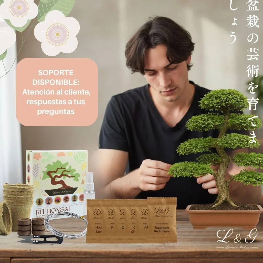 Kit Bonsái Completo para Cultivar 6 Semillas Naturales Jardinería Interior