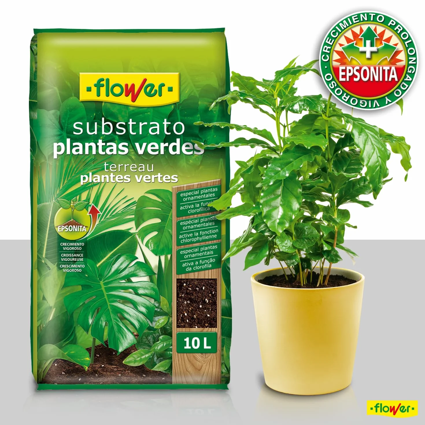 Sustrato Plantas Verdes 10 L con Perlita, Magnesio y Compost Vegetal para Interior y Exterior