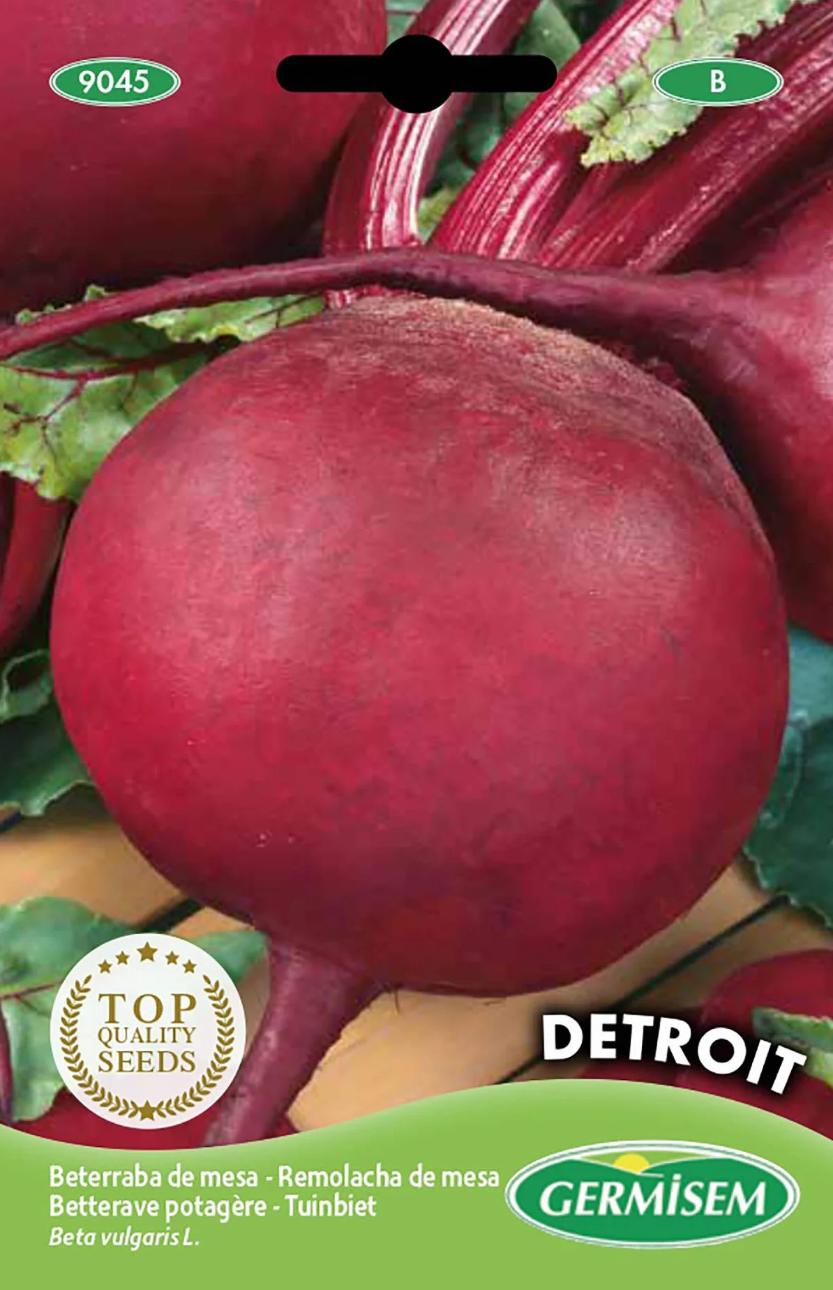 Germisem Detroit Semillas de Remolacha 5 g
