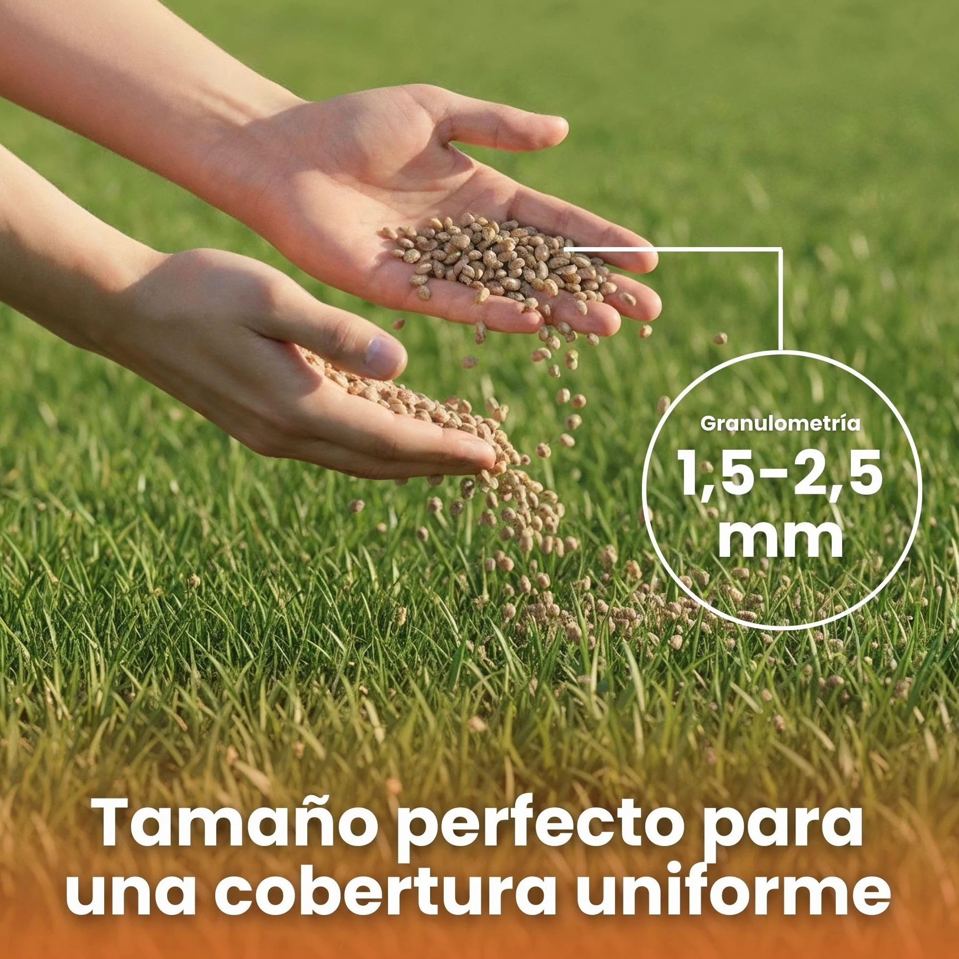 LERAVA® Abono césped Otoño 185 m² Fertilizante Liberación Lenta 100% Nitrógeno