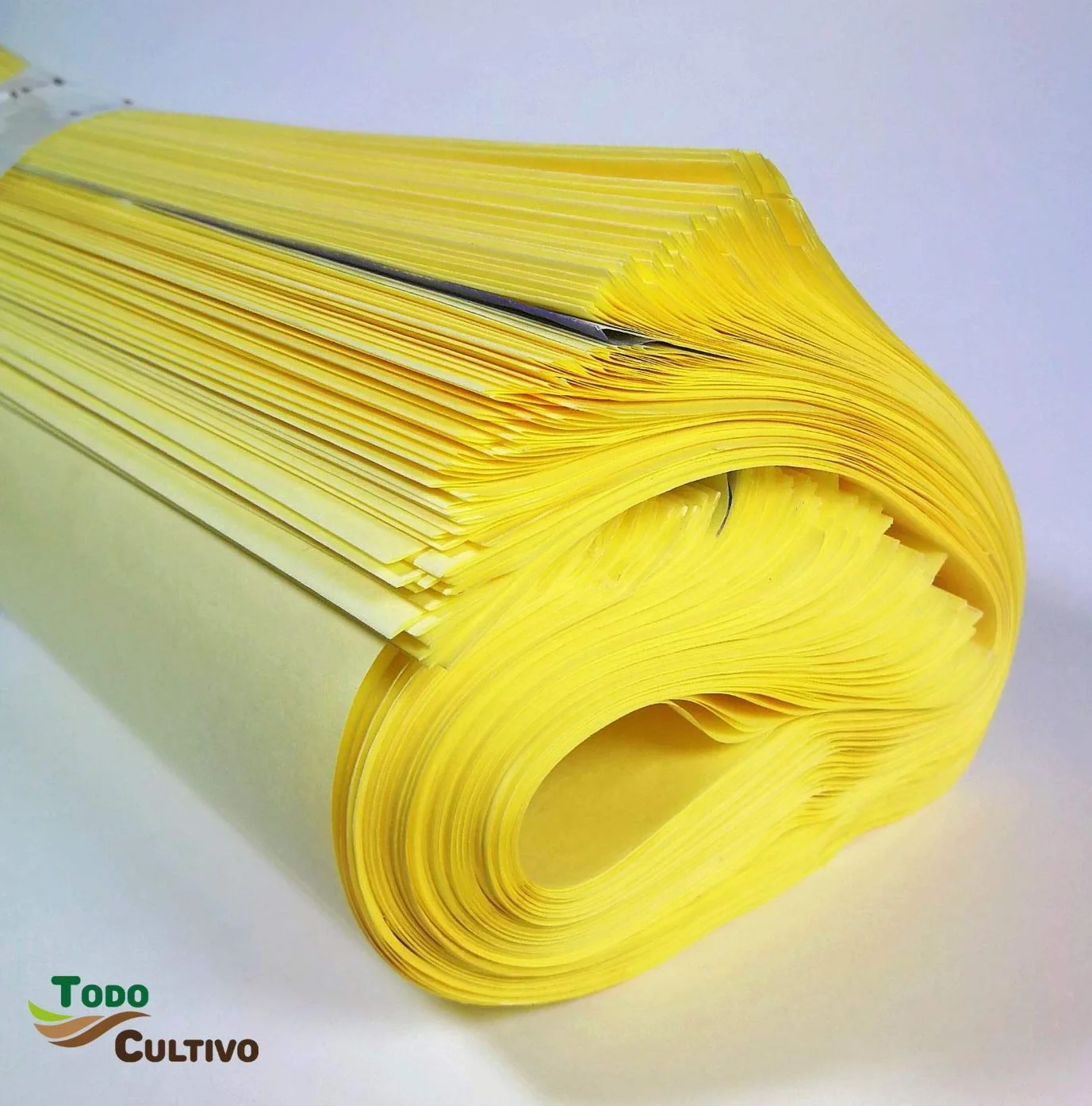 Bolsa de Papel Protectora Uvas Fruta 100 Unidades Doble Apertura
