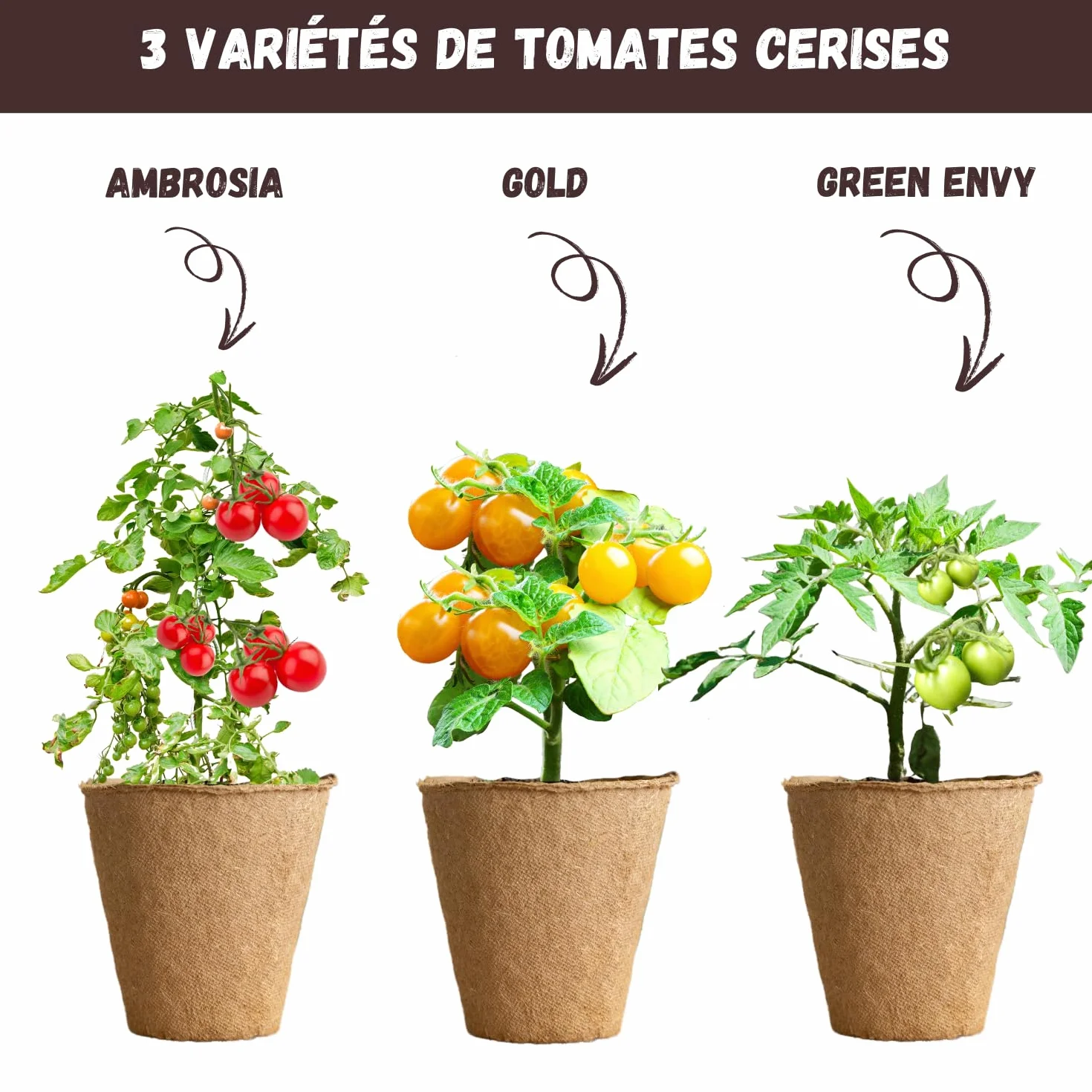 NOPALIA® Kit Tomates Cherry Orgánico Mini Huerto Interior Green Envy Ambrosia Gold Nuggets Regalo Jardinería