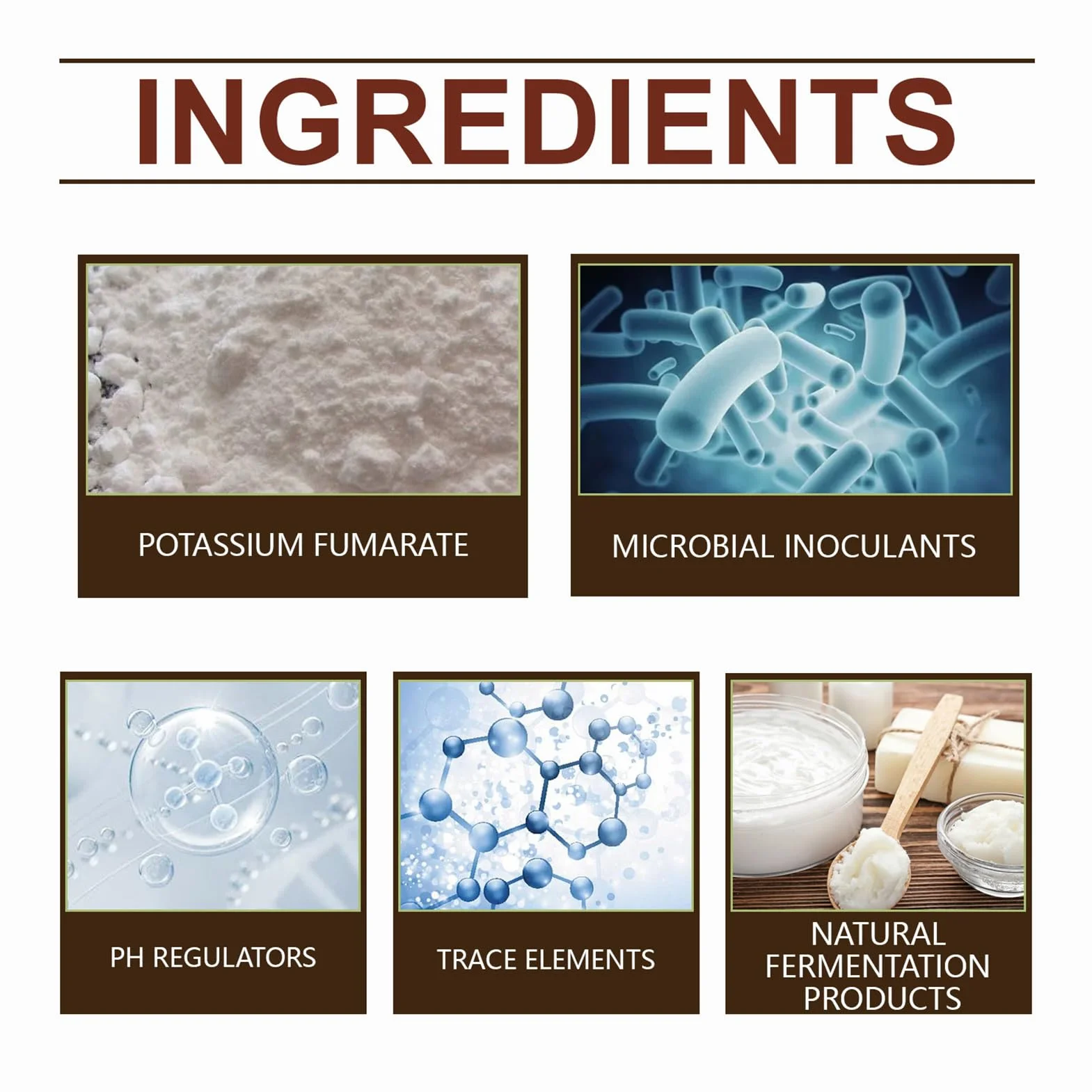 Polvo activador de raíz micorriza 100 g enraizamiento fortalece raíces tallos crecimiento saludable