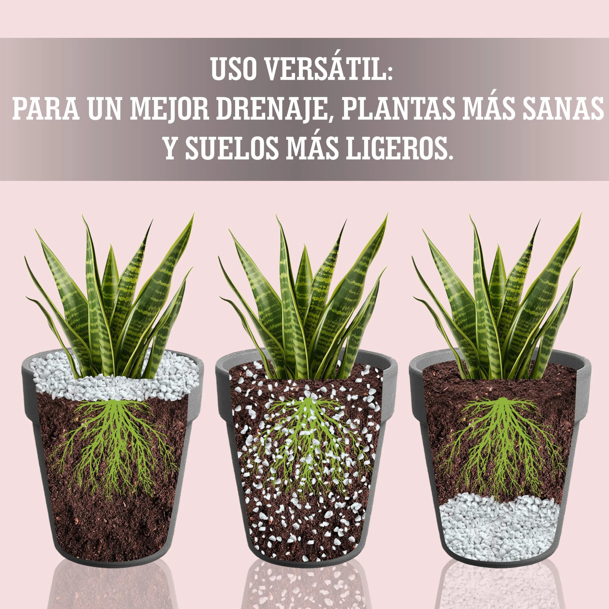 LERAVA Perlite pour Plante 3 L - Naturelle Améliore Drainage Aération