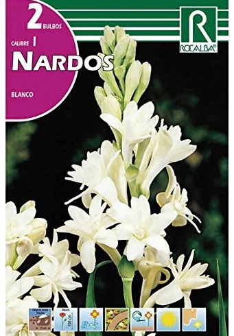 BULBO NARDO BLANCO 2 UD.