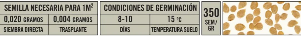 Semillas Batlle Tomate Noire de Crime