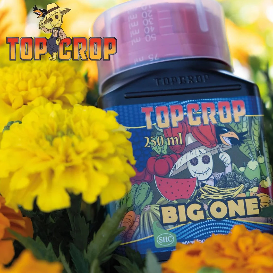 Big One 1 L Estimulador de floración natural