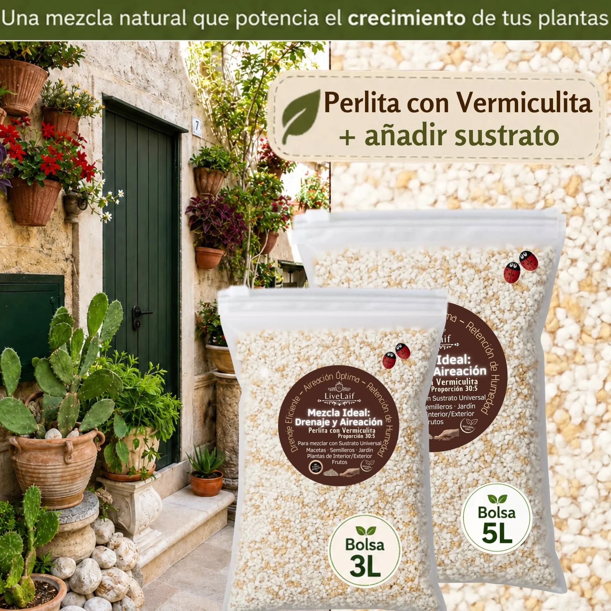 Mezcla Perlita con Vermiculita para Plantas 3L | Sustrato Universal para Suculentas, Orquideas y Macetas