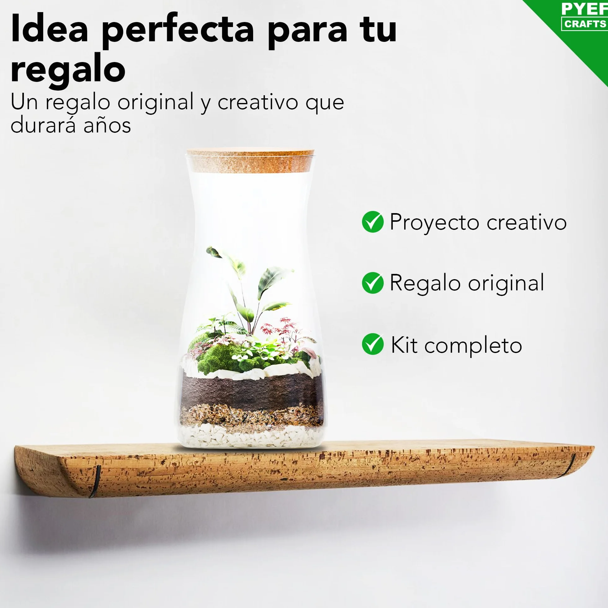 Kit Terrario de Cristal DIY Set Decoración Ecosistema Cerrado Bosque Eterno Interior Frasco Accesorios Hogar Regalo Original