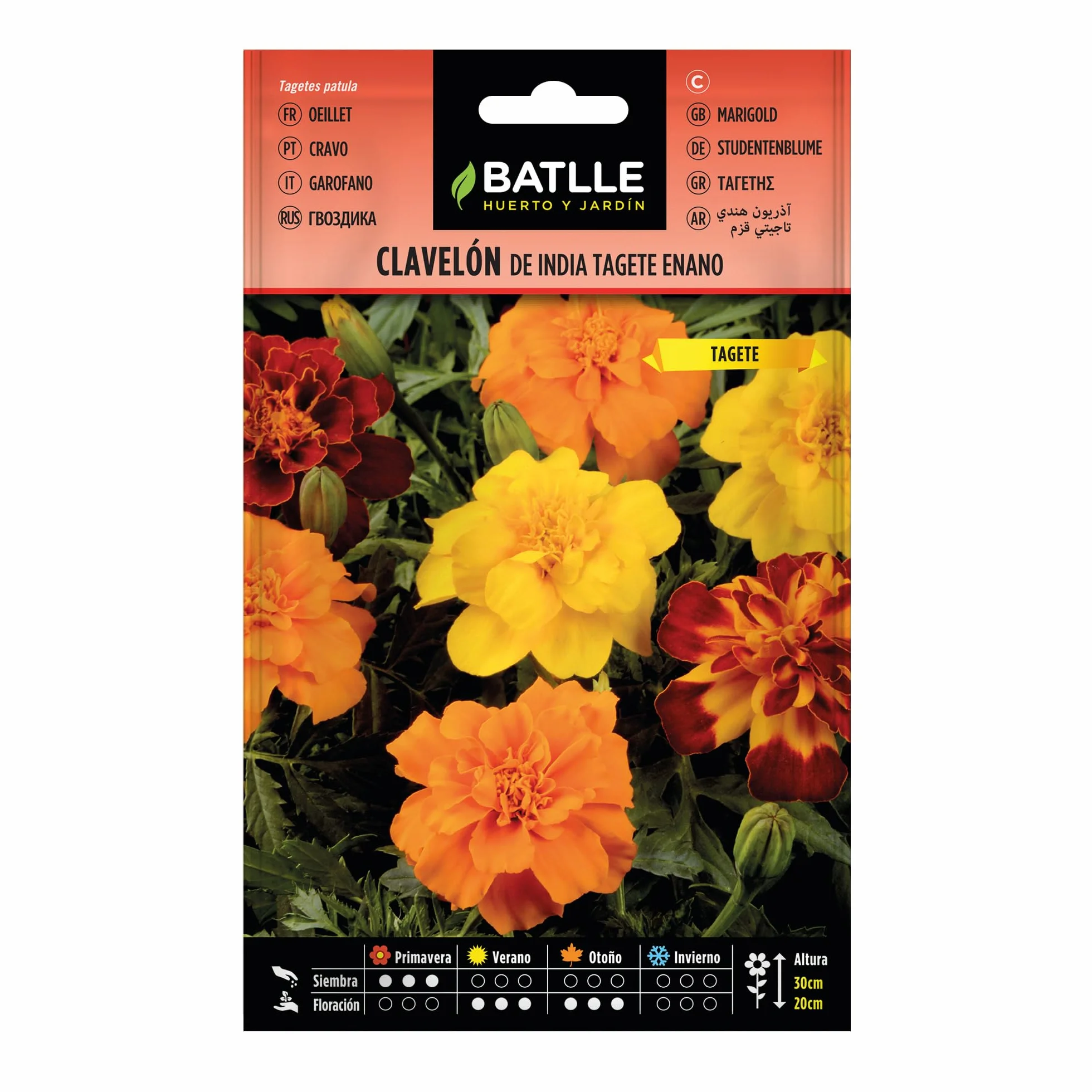 BATLLE Clavelón de la India Tagete Enano 4 g – Semillas de Flor Anual de Flores Dobles