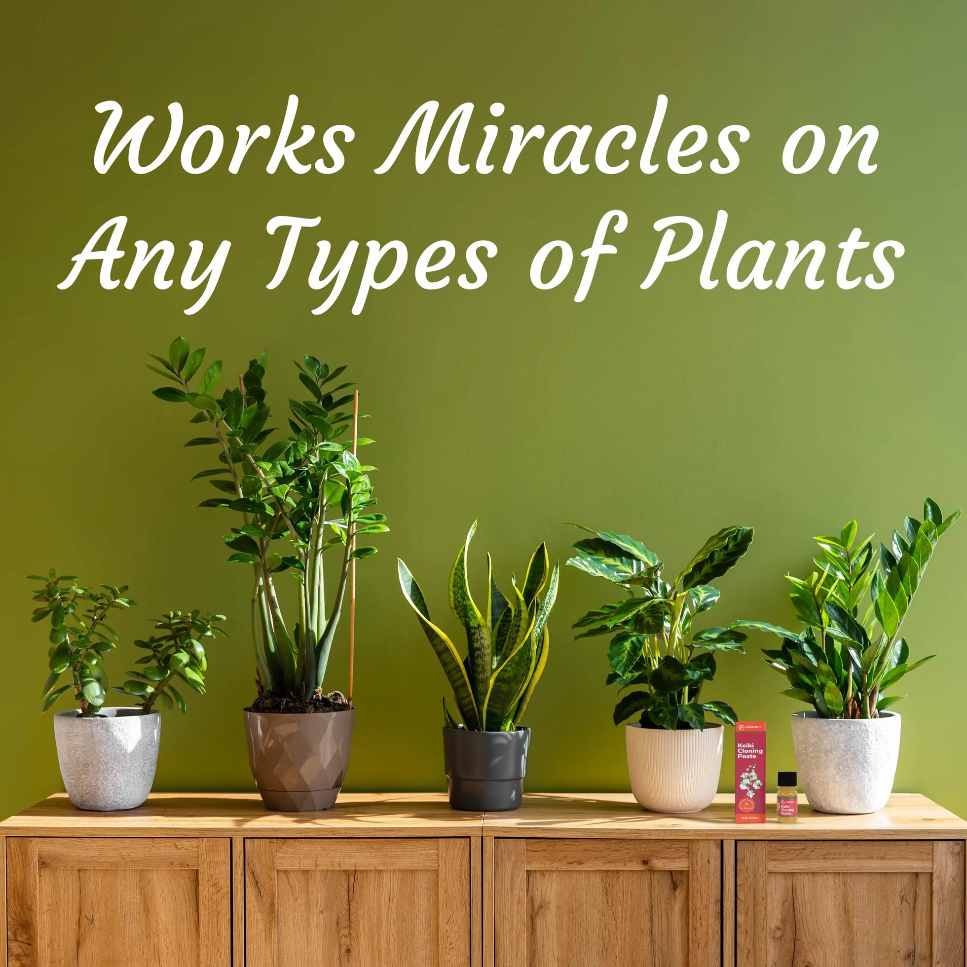 Miracle Lab Keiki Pasta de clonación Fórmula de citoquinina para orquídeas plantas de interior 0.33 onzas