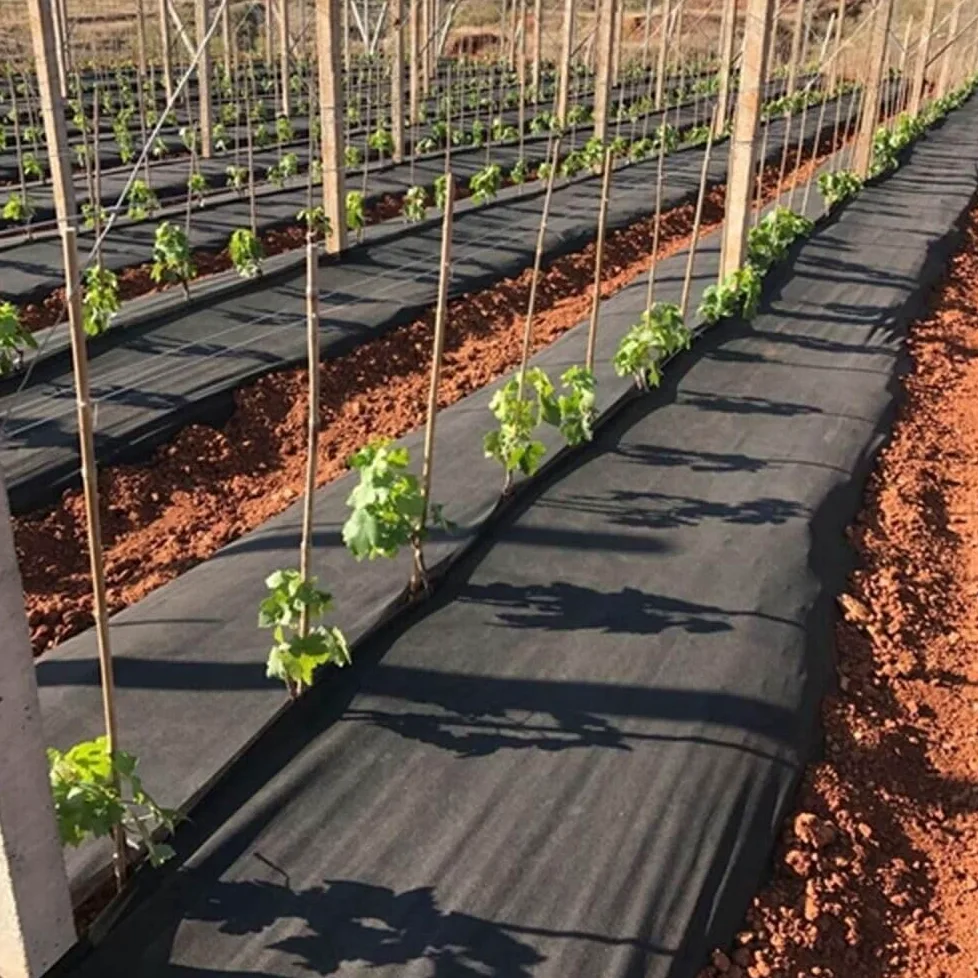 EraGreen Premium Tela antihierbas 150g/m² - 0,8m x 20m Tela para jardín, impermeable y UV-estable - Estera antihierbas ideal para jardín y jardinera elevada - Lámina de mantillo respetuosa con el