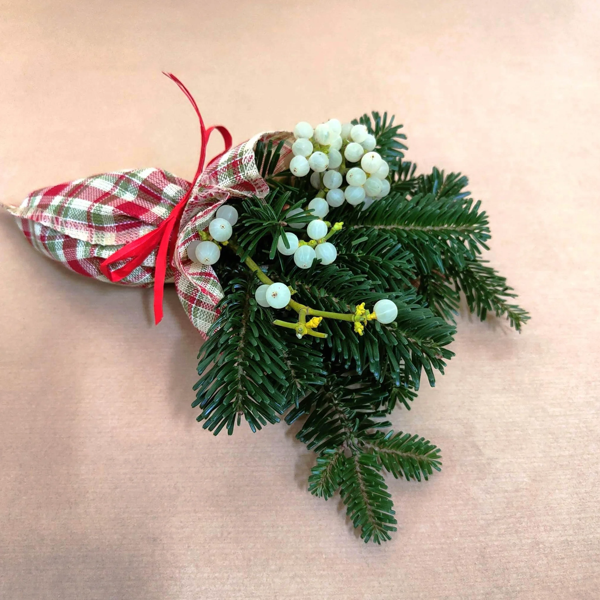 Muérdago Natural 10 Ramilletes para Regalar en Navidad y Año Nuevo