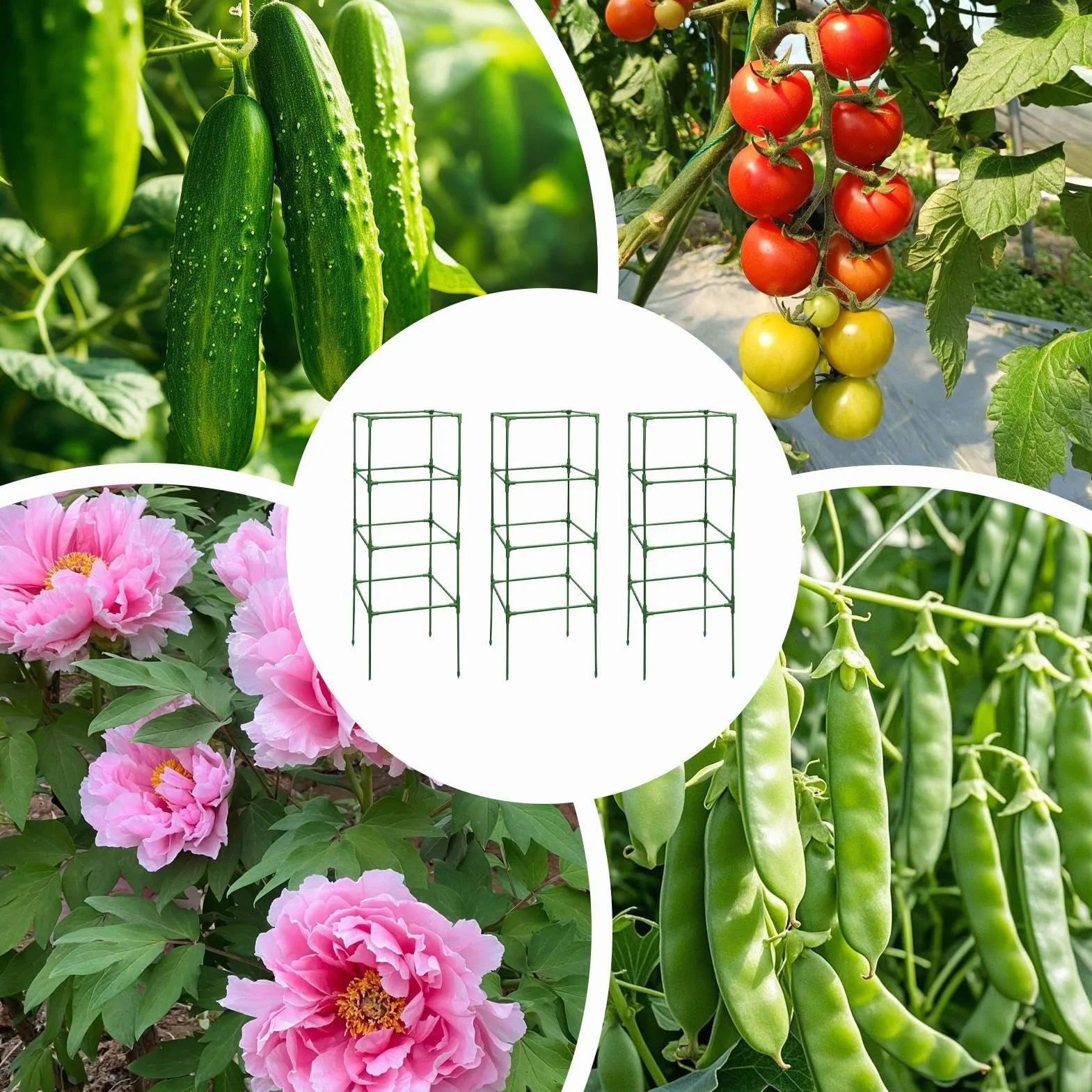 Entutorado para Tomates Soporte Cuadrado Ajustable en Altura de 3 Piezas | Tutor de Plantas Resistente para Judías Pepinos Verduras Rosas Peonías Macetas Bancal Elevado Jardín Patio Césped