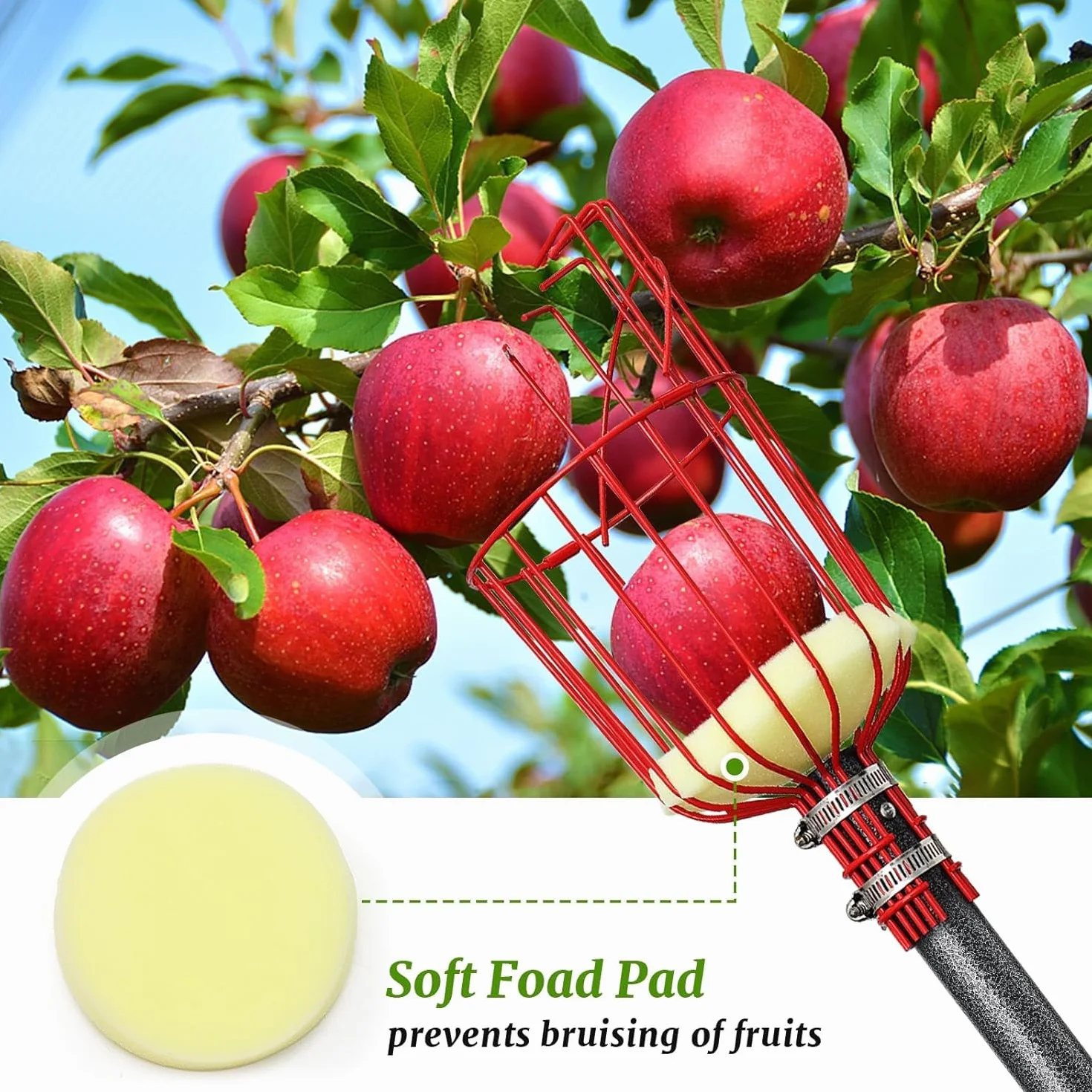 Recolector de Frutas 168cm Varillas de Extensión Recogedor de Manzanas Herramientas