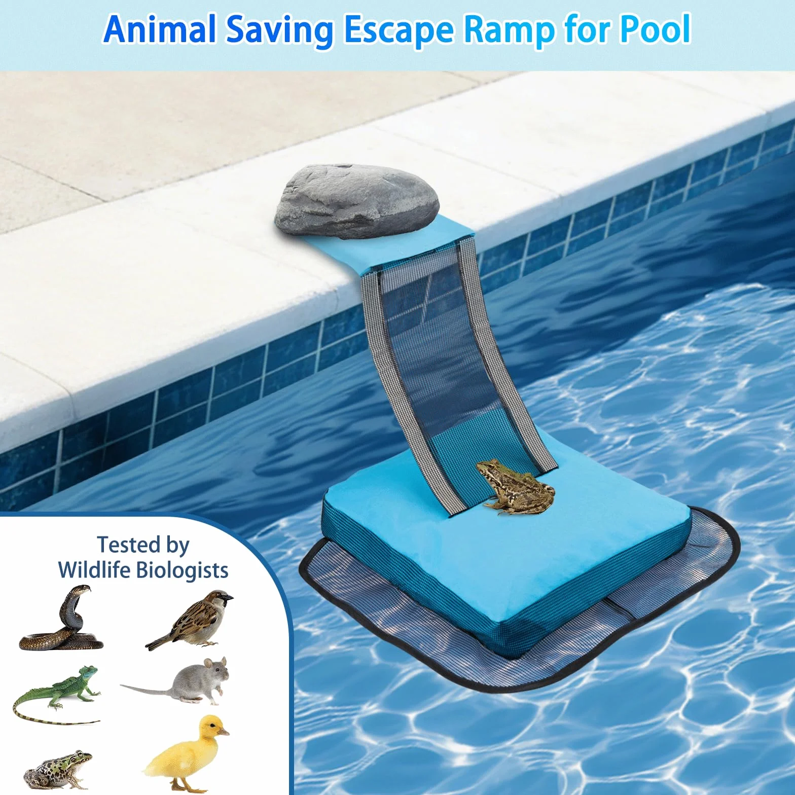 Rampa de rescate de animales para piscina, rescatador de ranas, sapos, lagartos, patos, serpientes