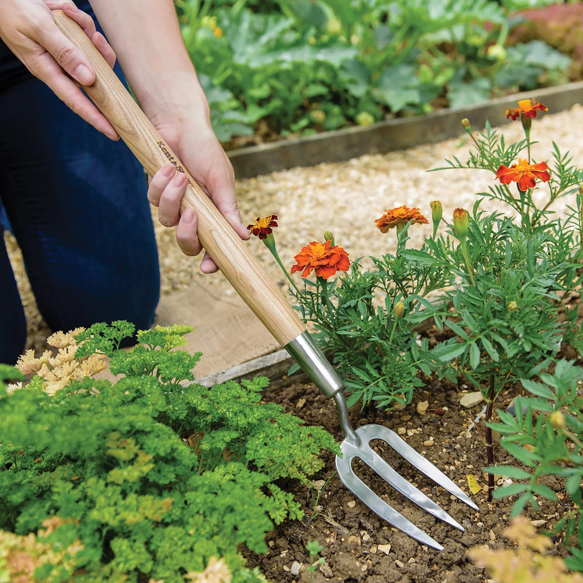 Kent & Stowe Horca Larga de Jardinería – Horquilla de Acero Inoxidable para Plantar, Mango Largo de Madera de Fresno, 58.5 cm