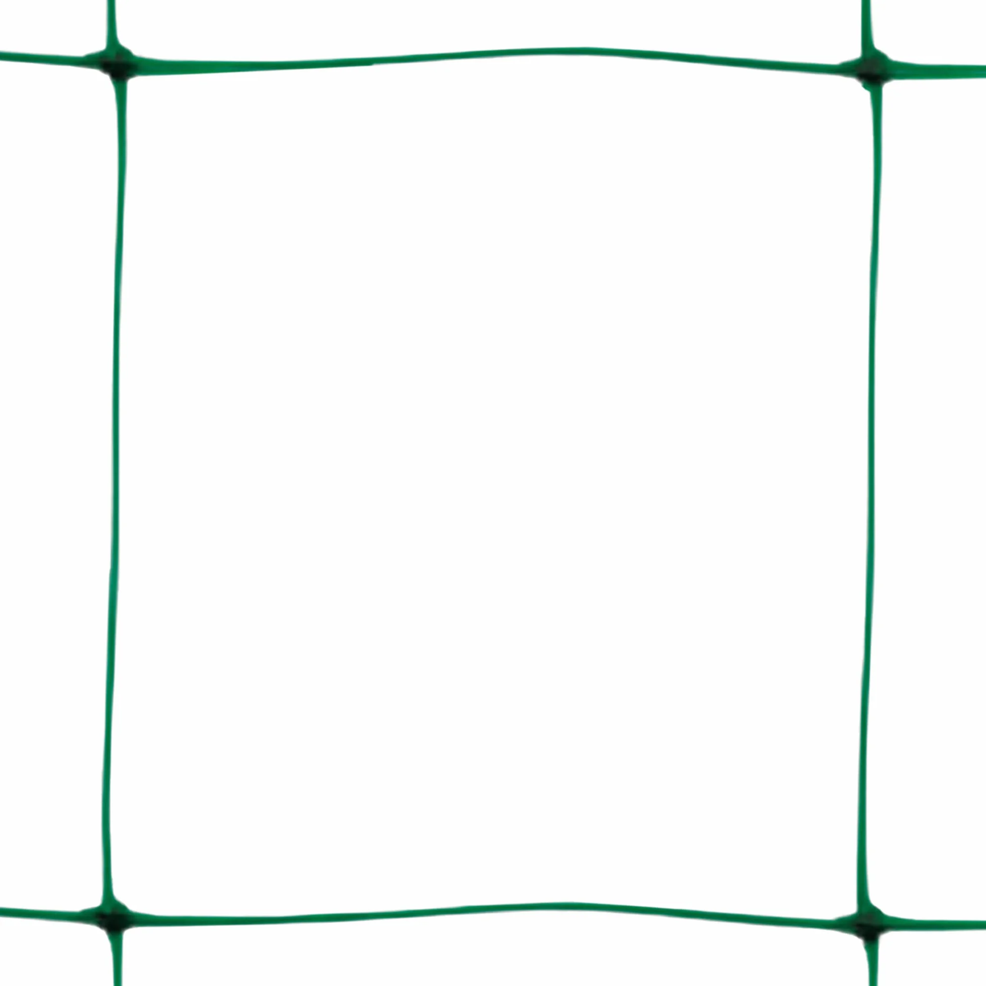 TENAX Flora 2,00x20 m Verde Malla para Plantas Trepadoras