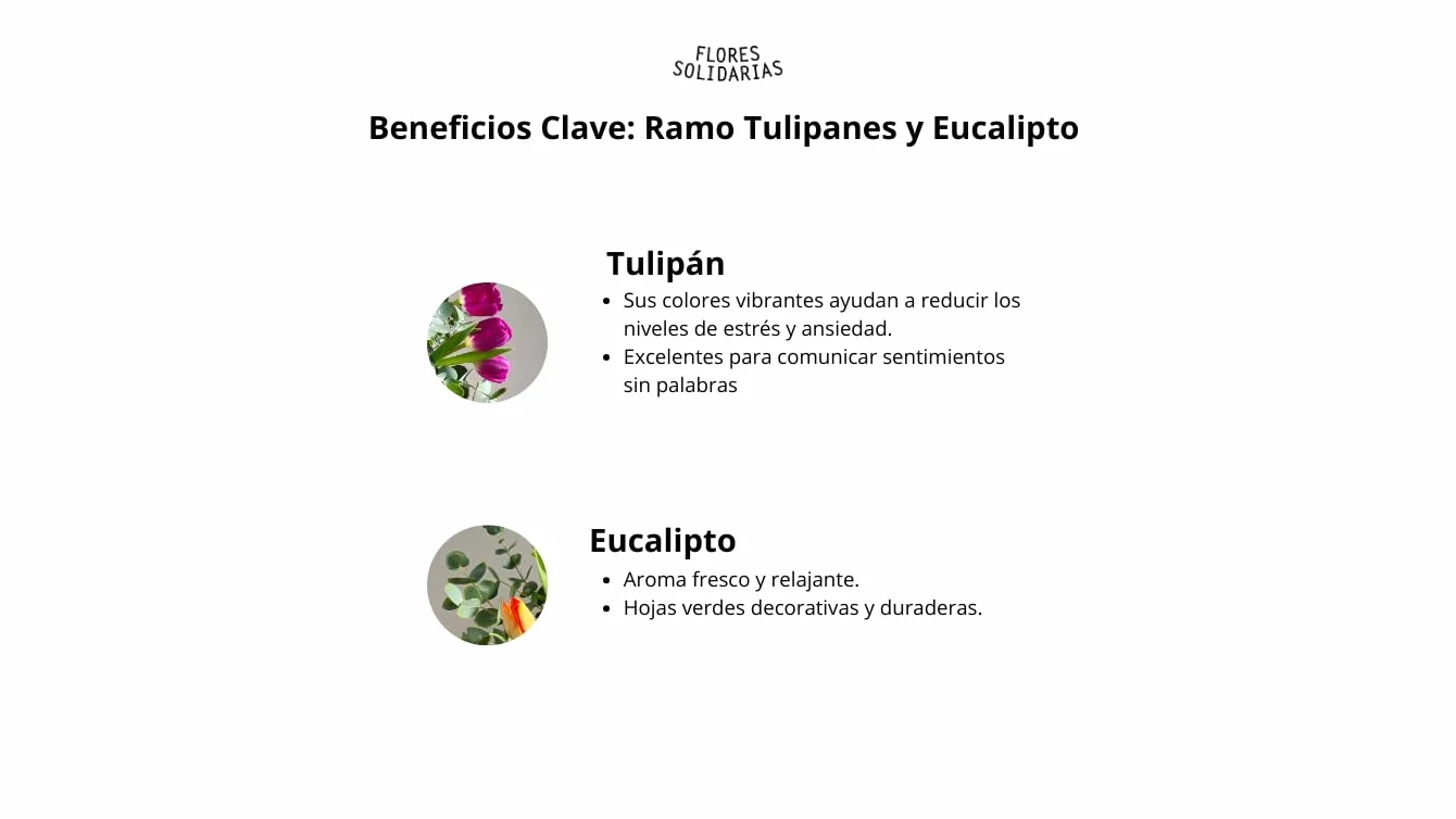 Ramo de Tulipanes Naturales 10 Tulipanes Eucalipto Violeta