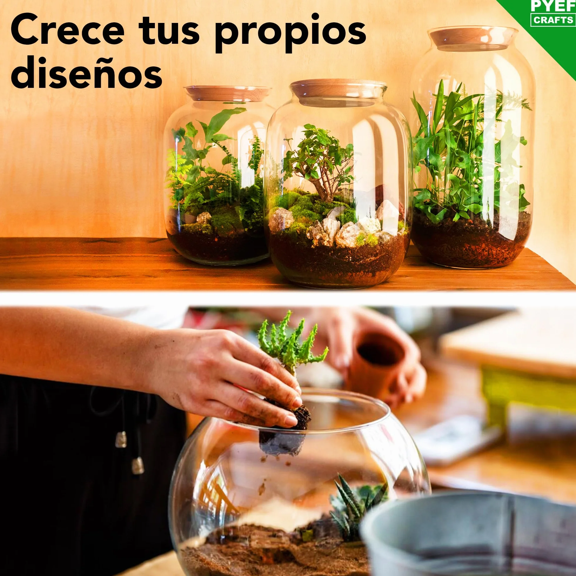 Kit Terrario Plantas DIY - Set Ecosistema Cerrado para Jardin en Botella 1-2L - Terrarium Interior - Kit Creacion Sin Planta