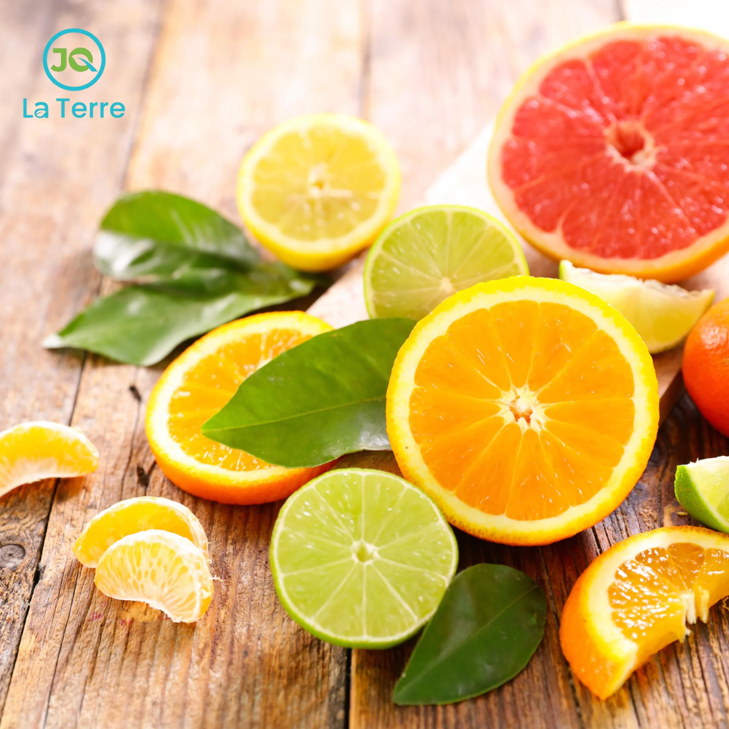 ABONO ESPECIAL CITRICOS 1 LITRO fertilizante liquido citricos abono foliar limonero naranjo pomelo