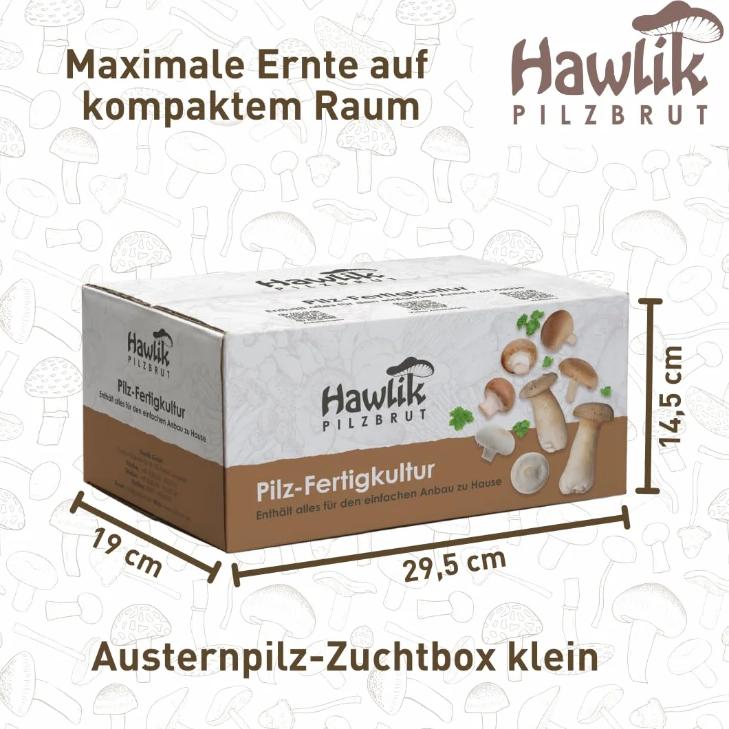 Hawlik Set de cultivo de setas de ostra - Kit pequeño para cultivar y cosechar setas frescas