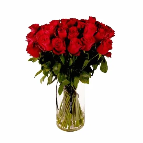 Bouquet de Rosas Rojas Naturales Frescas 25 Flores para Regalar