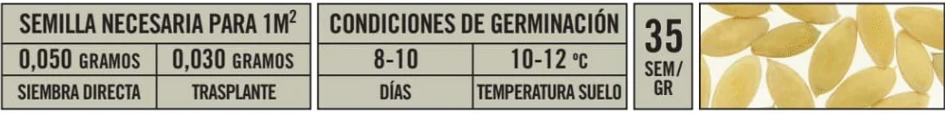 Semillas Batlle Pepino MARKETMORE 70 1/2 largo