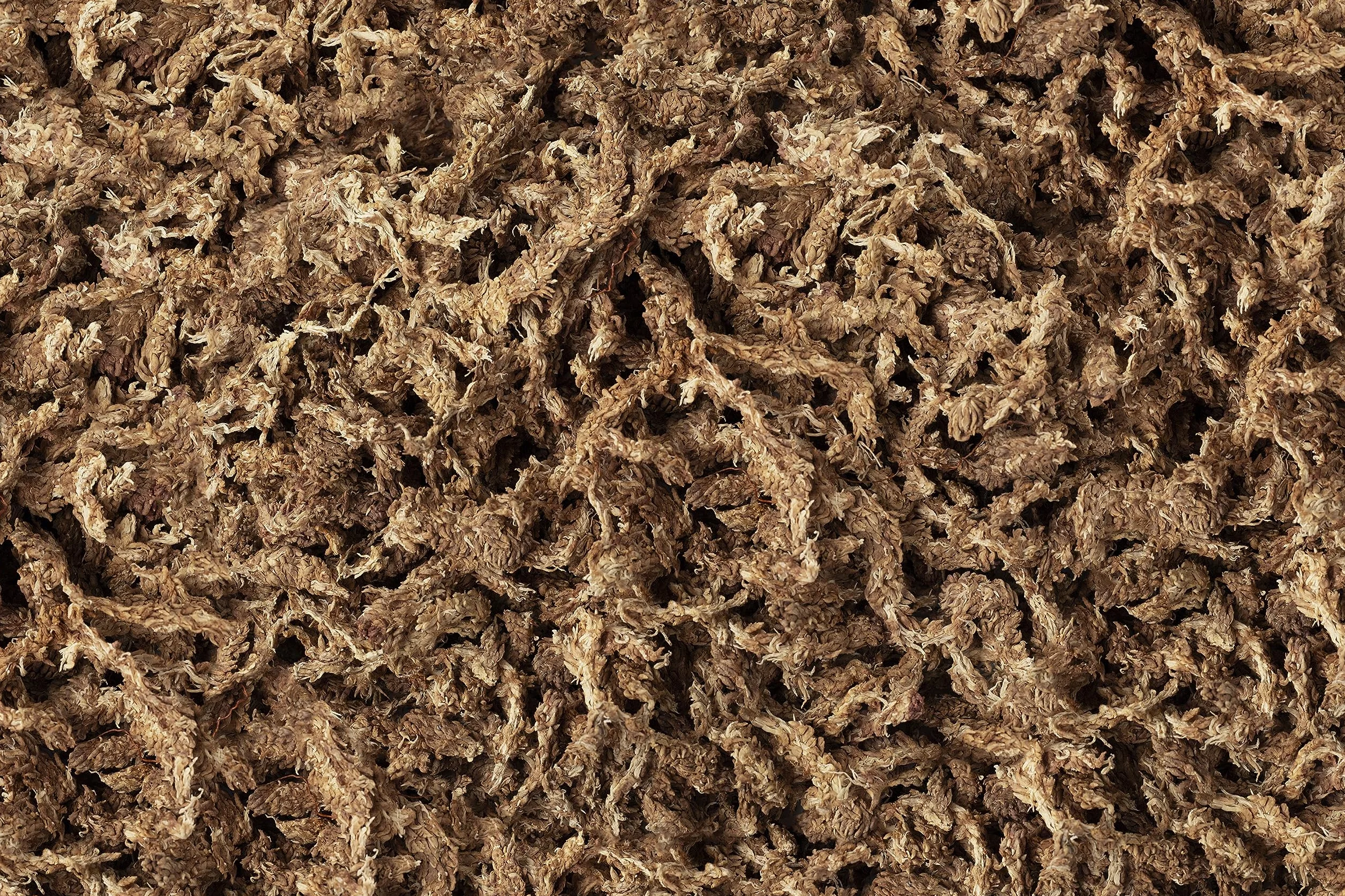 Esfagno Chileno 100% Natural Sustrato para Orquídeas, Bonsai, Kokedama (2L - 50g)