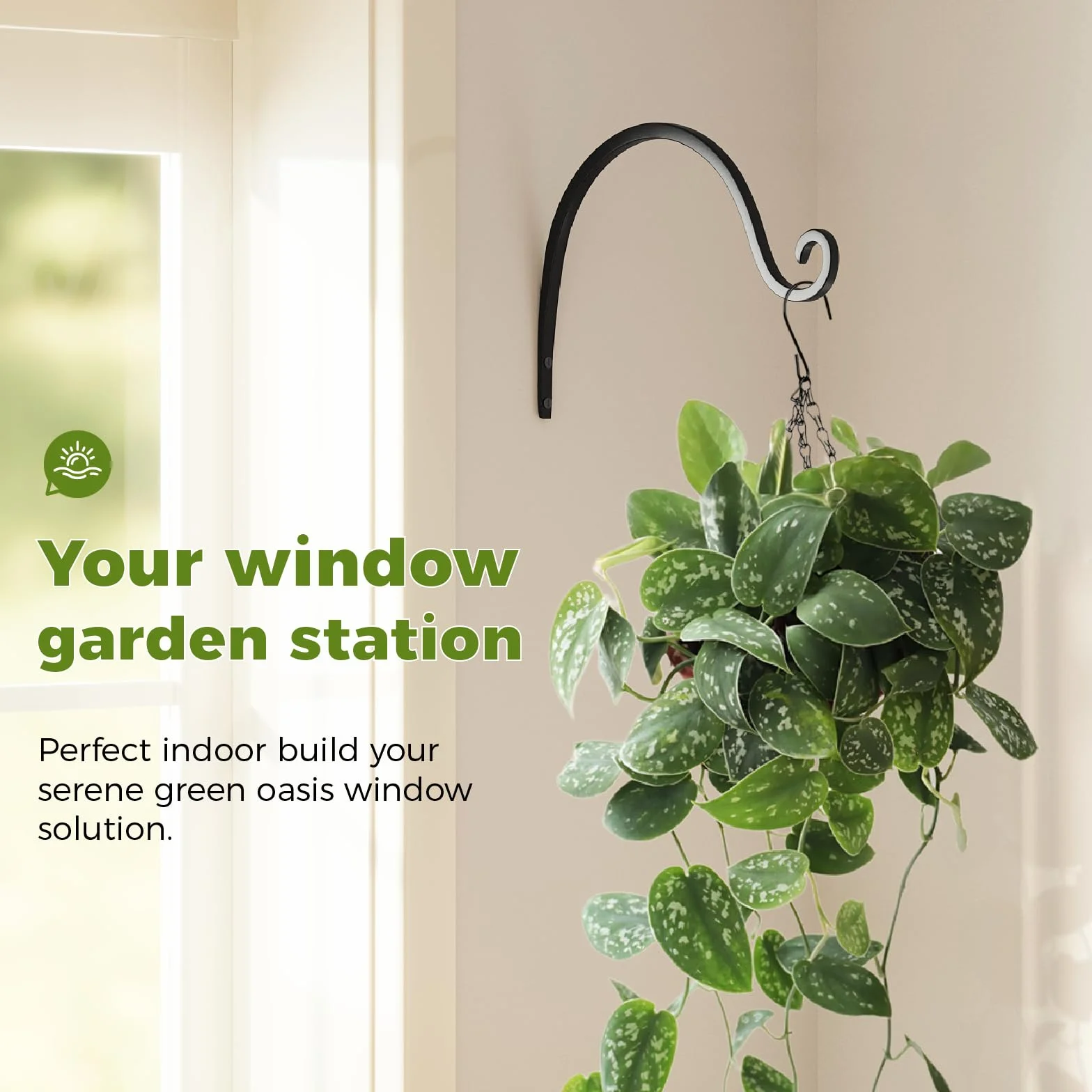Bamworld Soportes para Plantas Colgantes 2 Unidades, 20 cm, Ganchos Techo, Negro