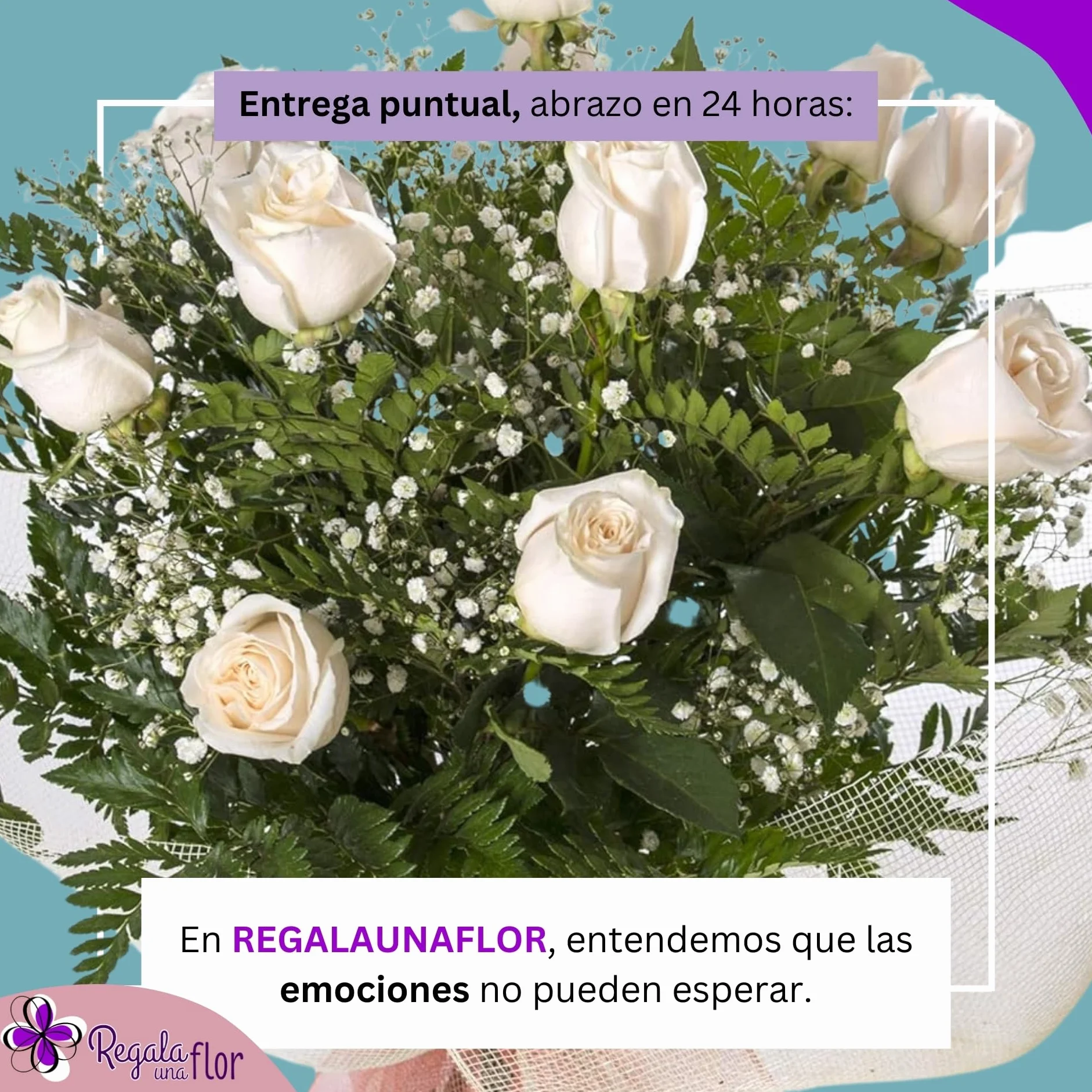 Ramo de flores naturales a domicilio 12 rosas blancas con tarjeta dedicatoria