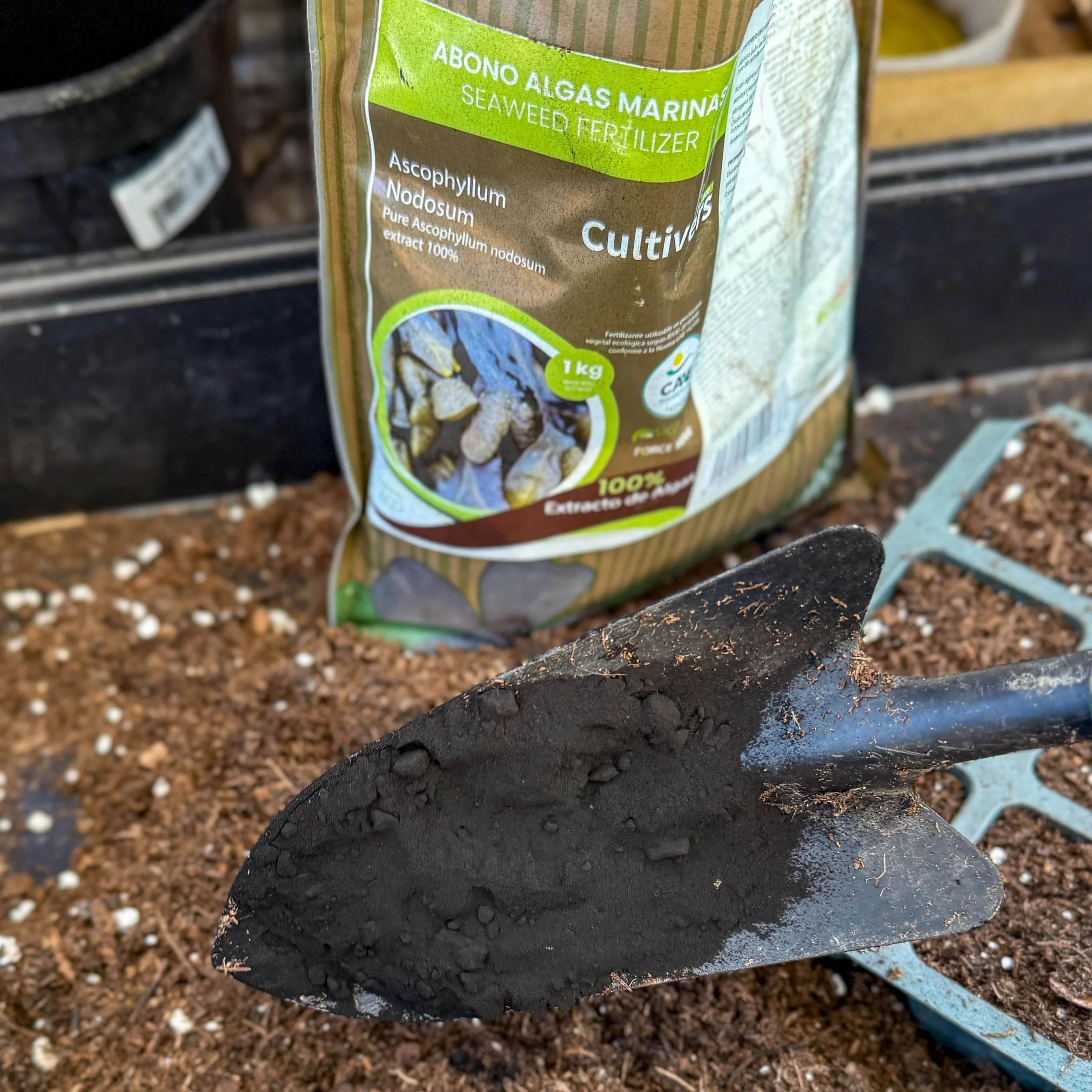 CULTIVERS Abono de Algas Marinas puro 250 g Fertilizante Orgánico Polvo Soluble Extracto Ascophyllum nodosum