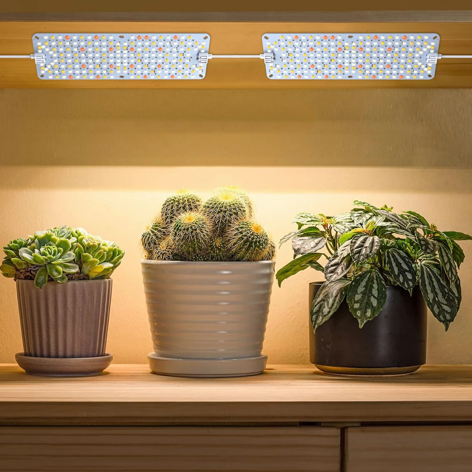 4Pack lámparas LED para plantas, luz de espectro completo para plantas de interior, panel de lámparas de cultivo con auto de 4/8/12 horas, luz de crecimiento para cultivo, vegetación y floración