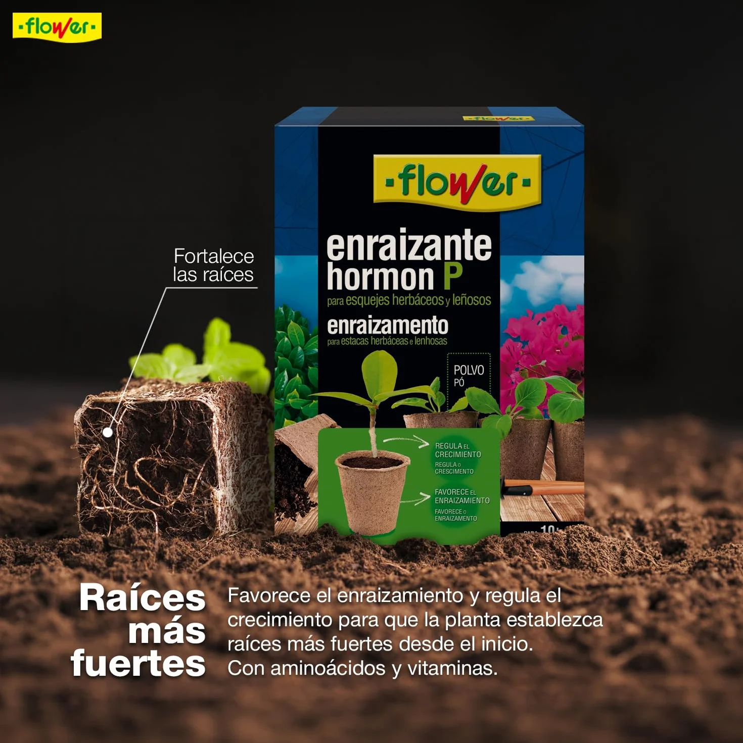 Enraizante Sólido Hormon P 50 g | Polvo Enraizante para Esquejes y Trasplantes