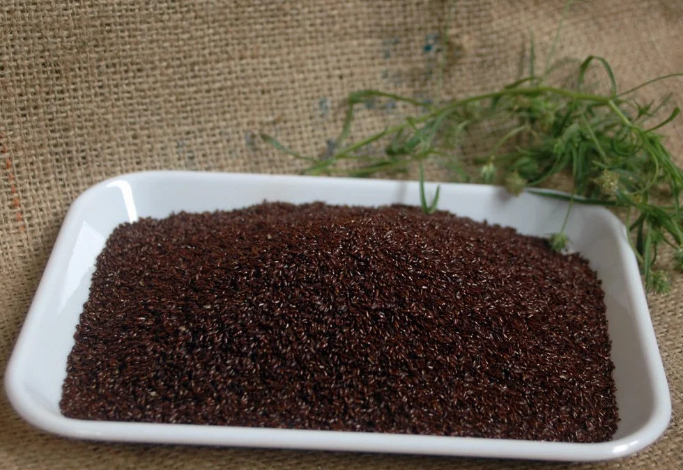 Plantago ovata negro 1 kg